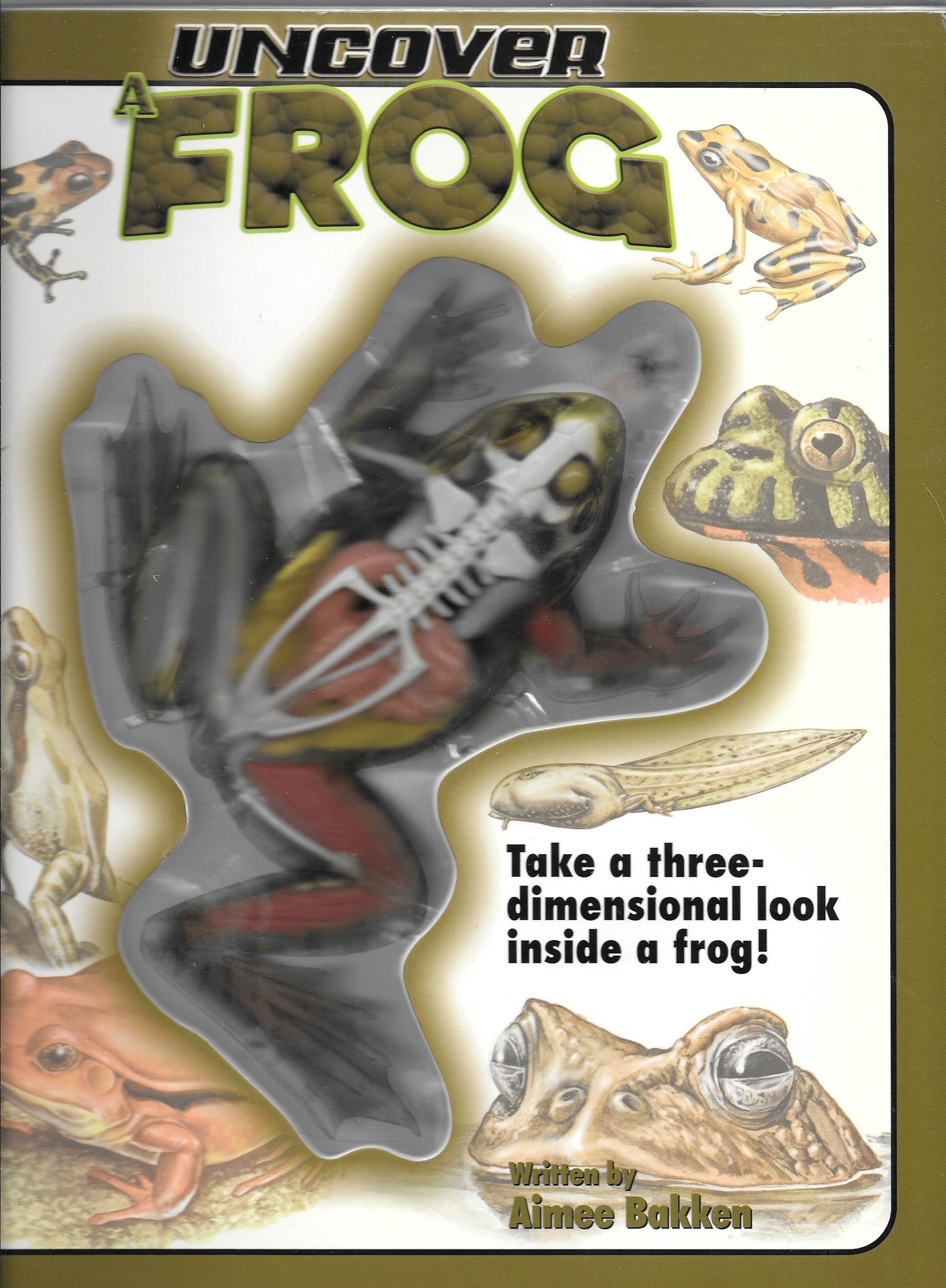 Uncover a Frog (Uncover Books) Non-fiction