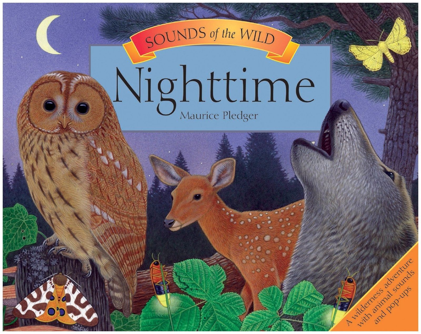 Sounds of the Wild: Nighttime Non-fiction