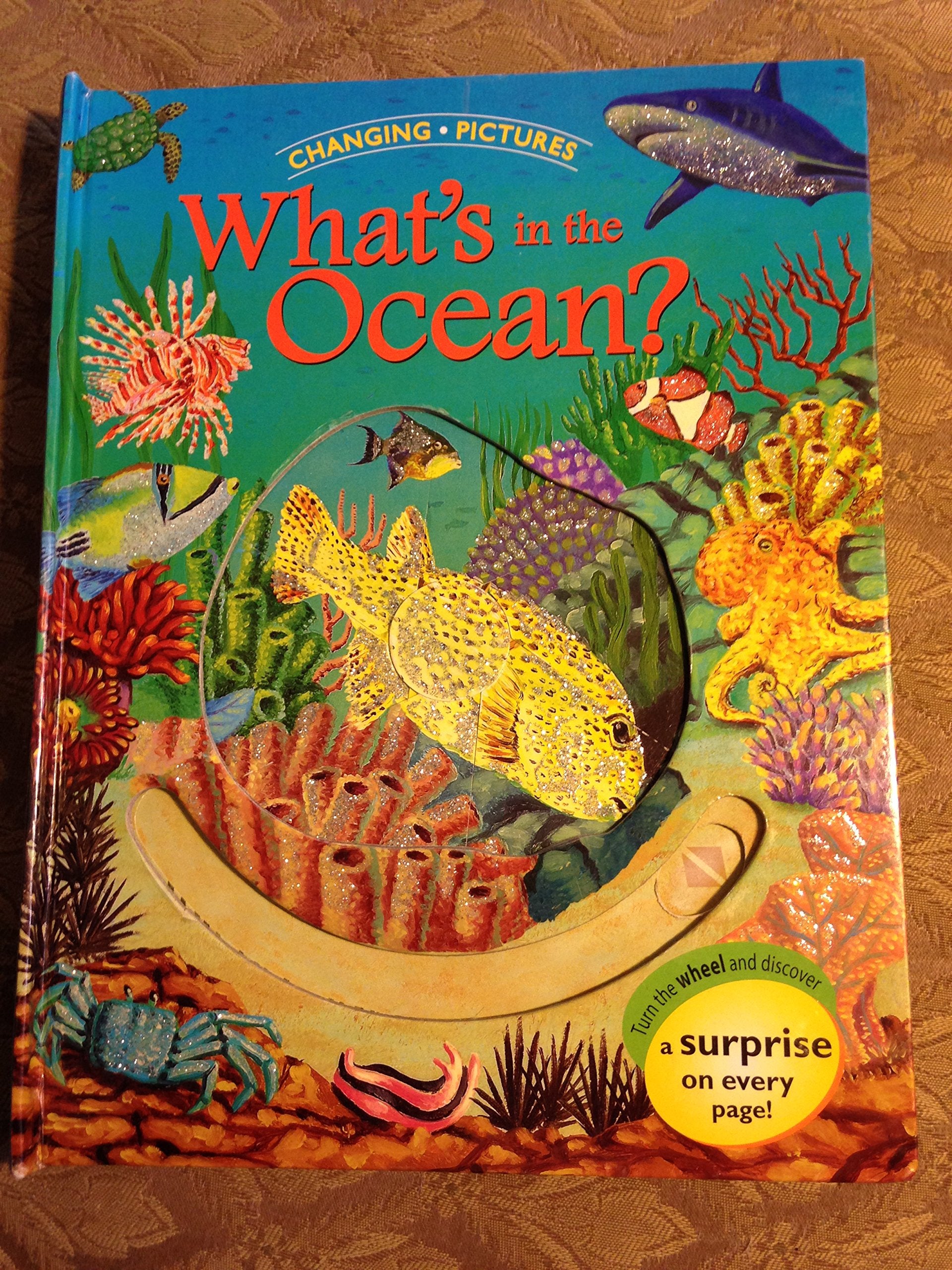 What's in the Ocean? (Changing Pictures) Non-fiction