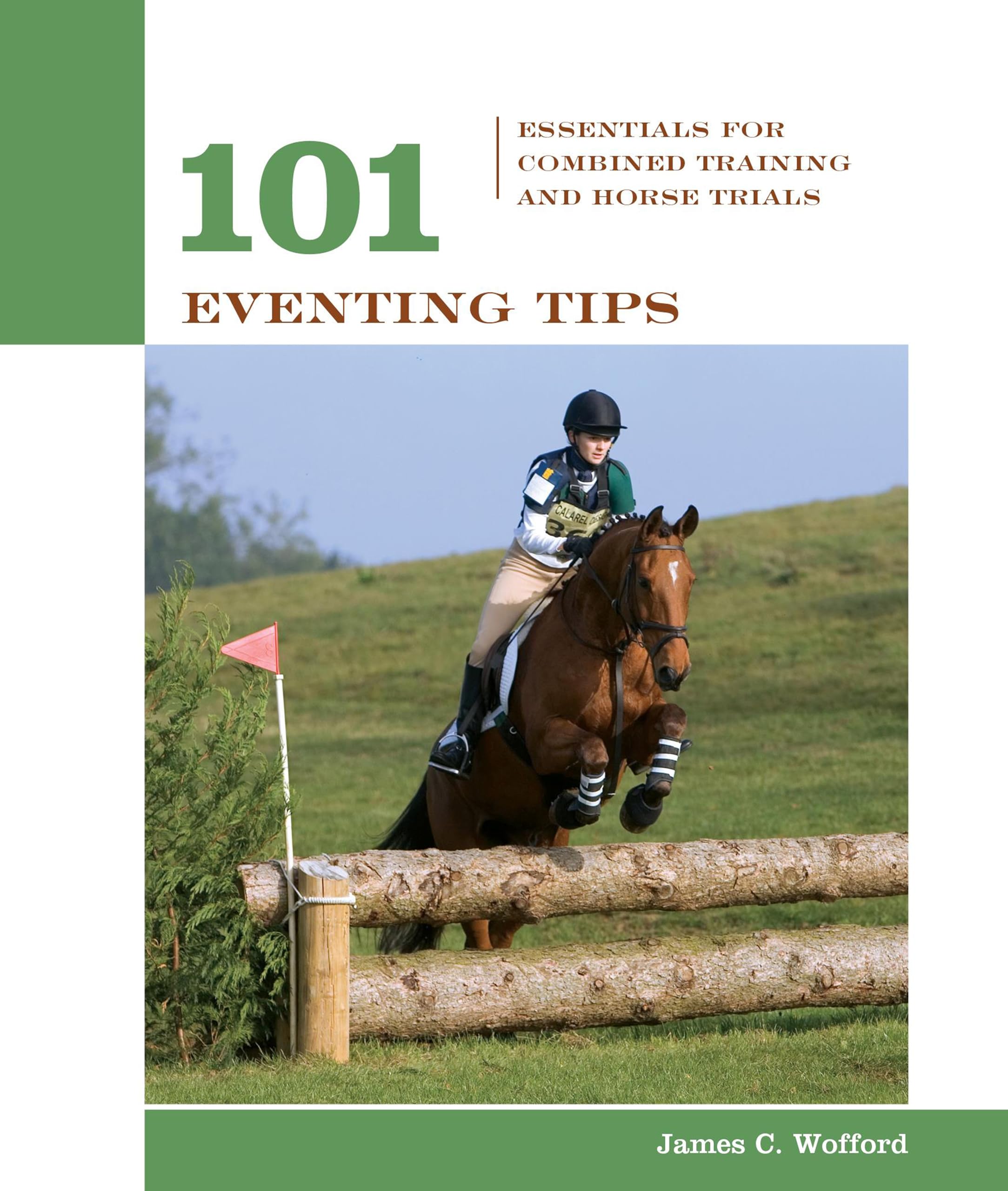 101 Eventing Tips: Essentials For Combined Training And Horse Trials (101 Tips) Pets
