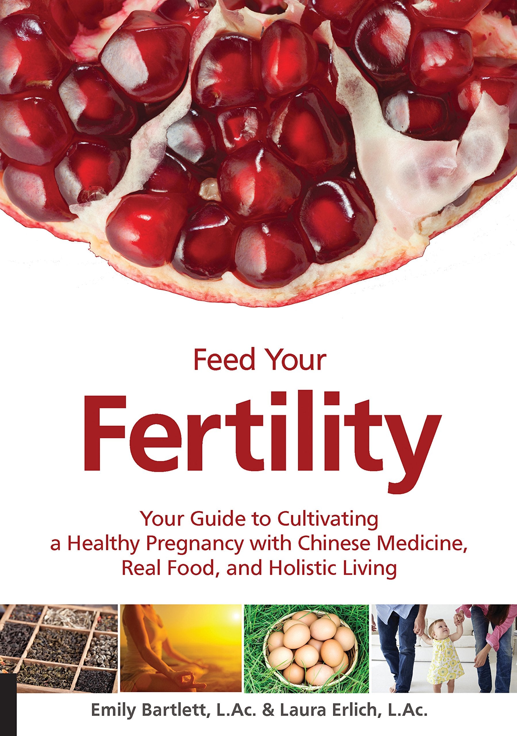 Feed Your Fertility: Your Guide to Cultivating a Healthy Pregnancy with Chinese Medicine, Real Food, and Holistic Living book