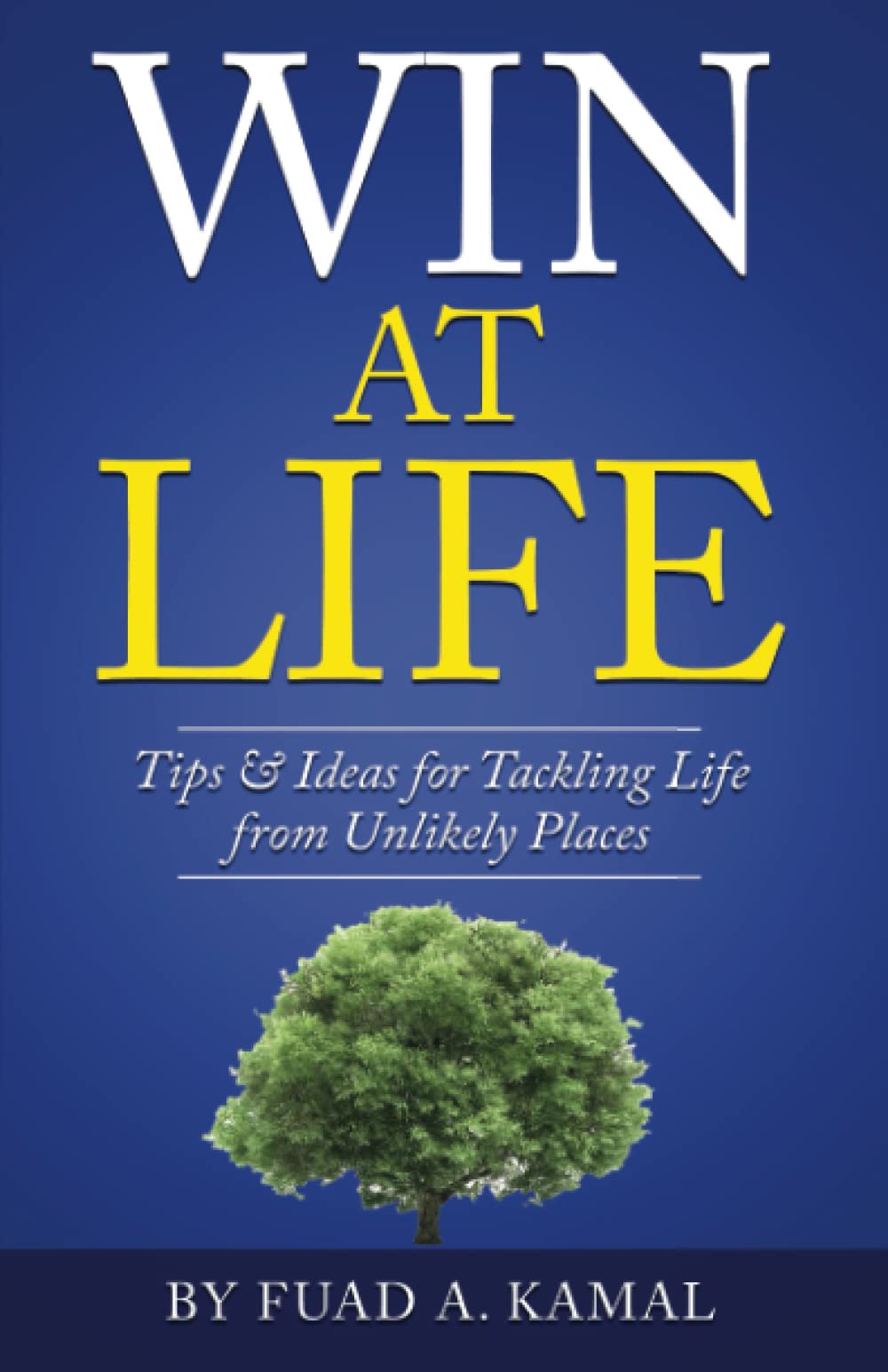 Win At Life: Tips & Ideas for Tackling Life from Unlikely Places Business, Finance & Career