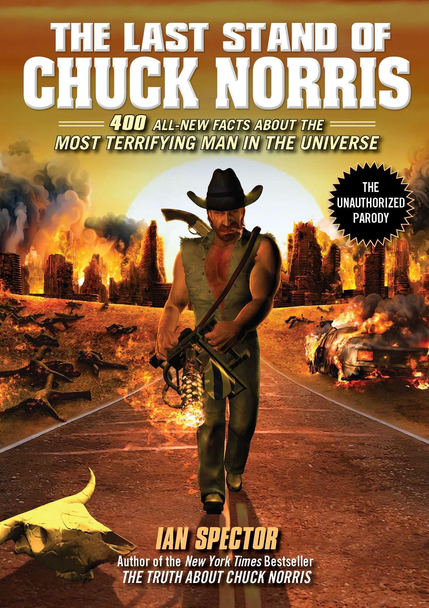 The Last Stand of Chuck Norris Leisure & Fun