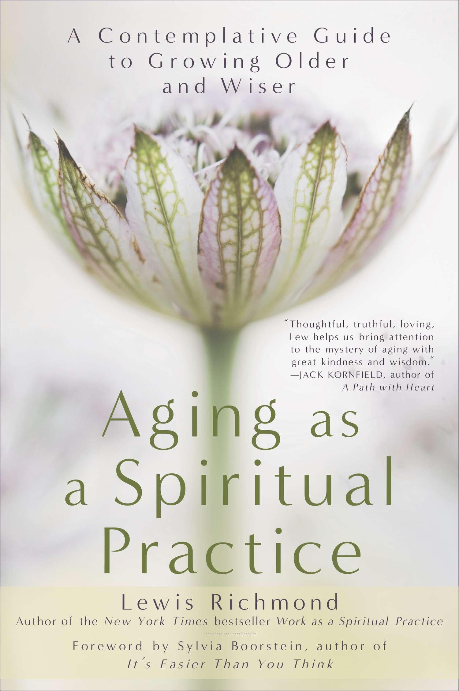 Aging as a Spiritual Practice: A Contemplative Guide to Growing Older and Wiser Social Sciences
