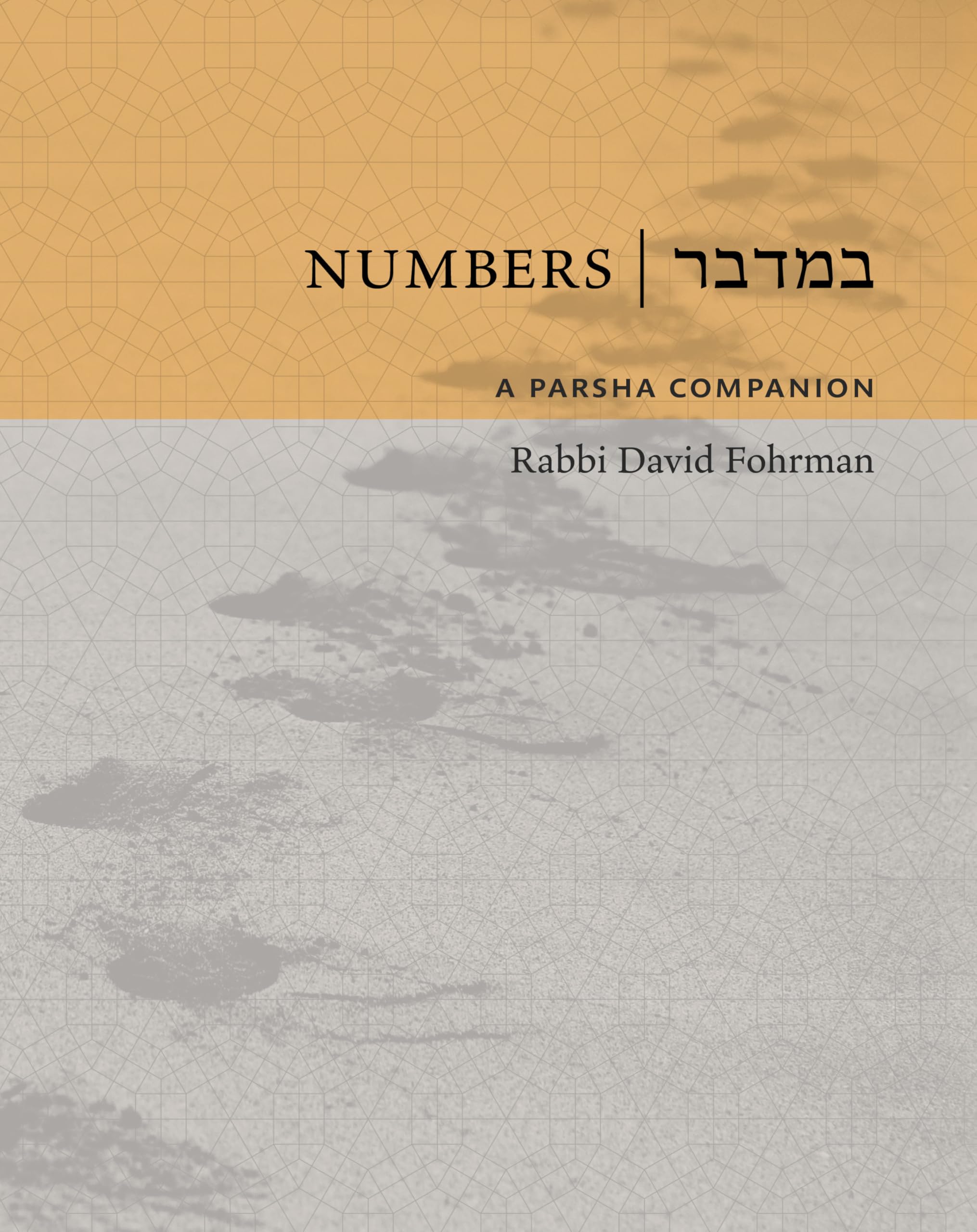 Numbers: A Parsha Companion Religion & Esotericism