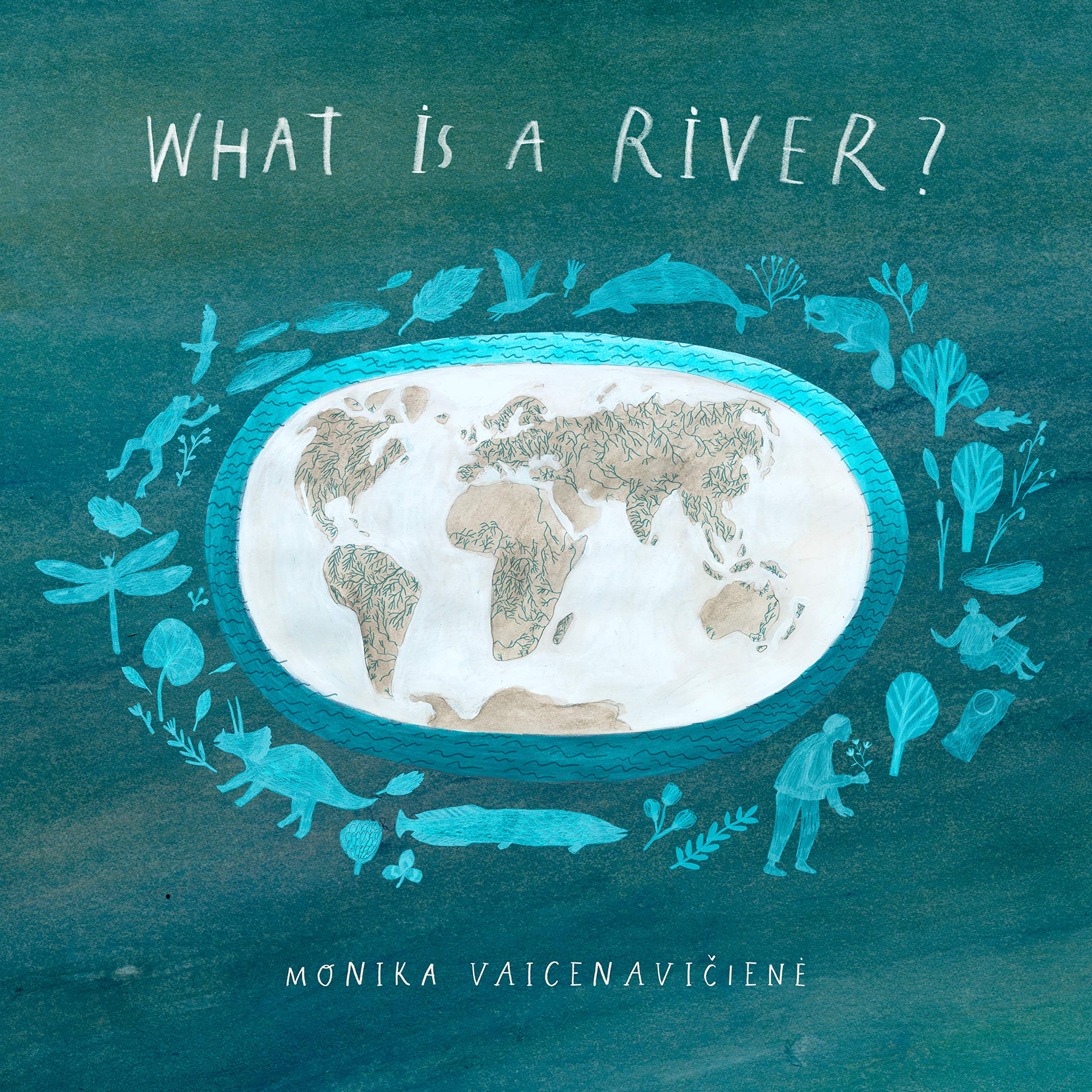 What Is a River? book