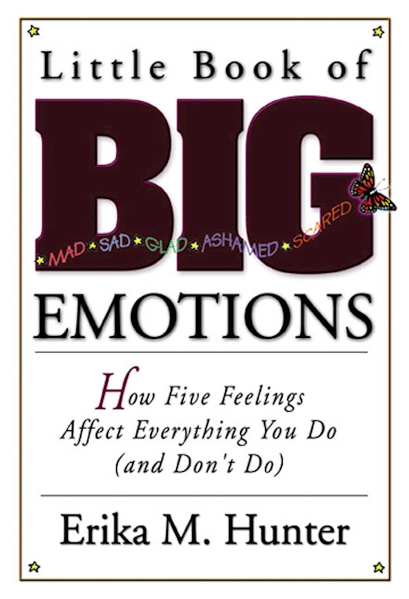 Little Book of Big Emotions: How Five Feelings Affect Everything You Do (and Don't Do) book