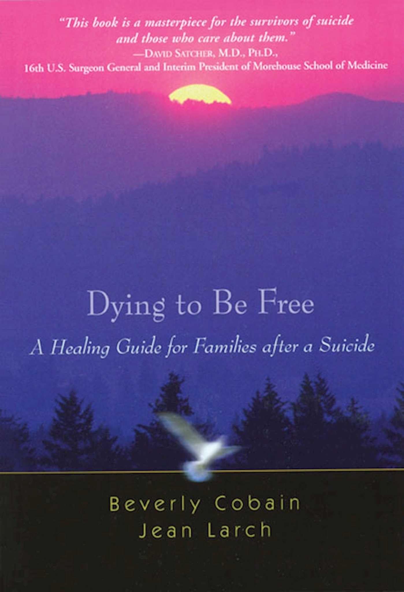 Dying to Be Free: A Healing Guide for Families after a Suicide book