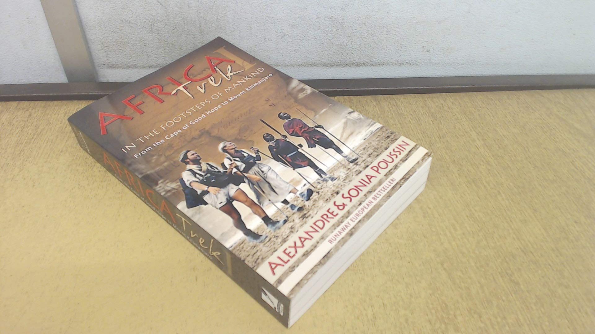 Africa Trek II: 14,000 Kilometers in the Footsteps of Mankind : From Mount Kilimanjaro to the Sea of Galilee book