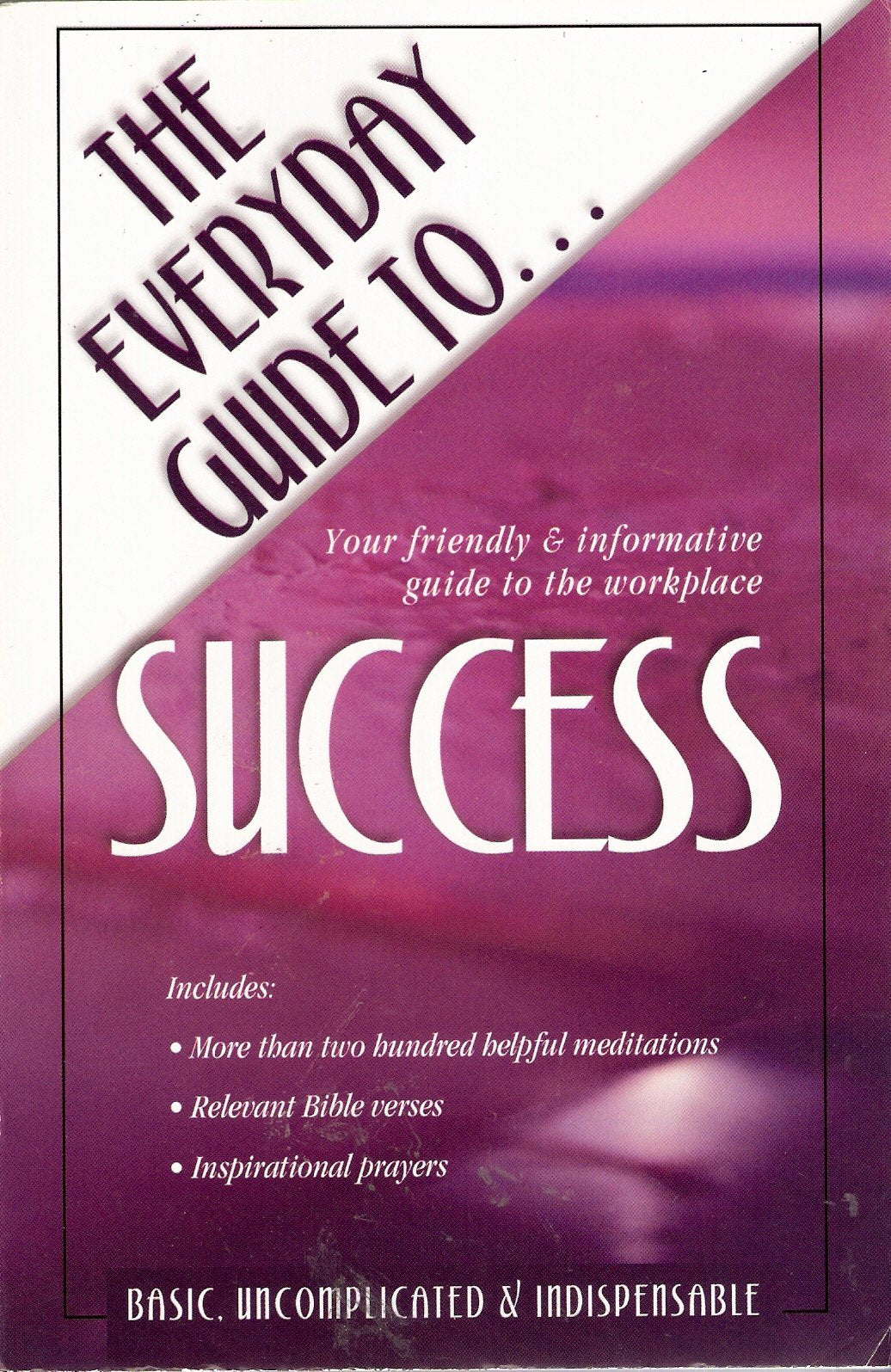 The Everyday Guide To Success Edition: reprint Books