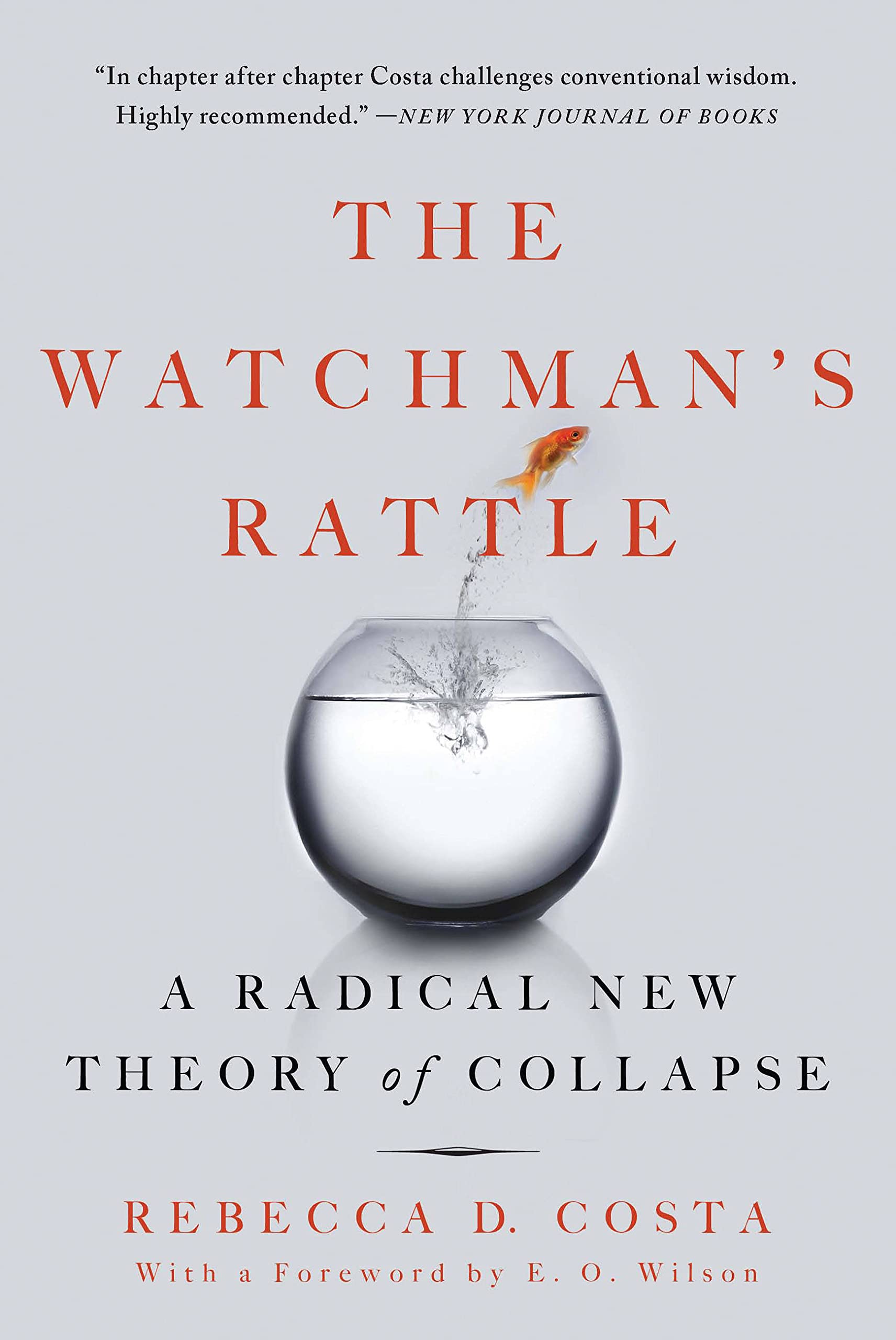 The Watchman's Rattle: A Radical New Theory of Collapse book