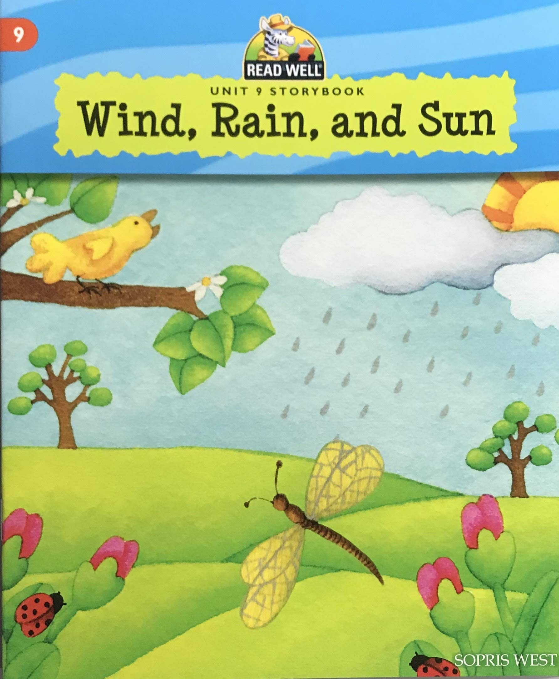 Wind, Rain, and Sun (Read Well Unit 9 Storybook, Level 1) Books
