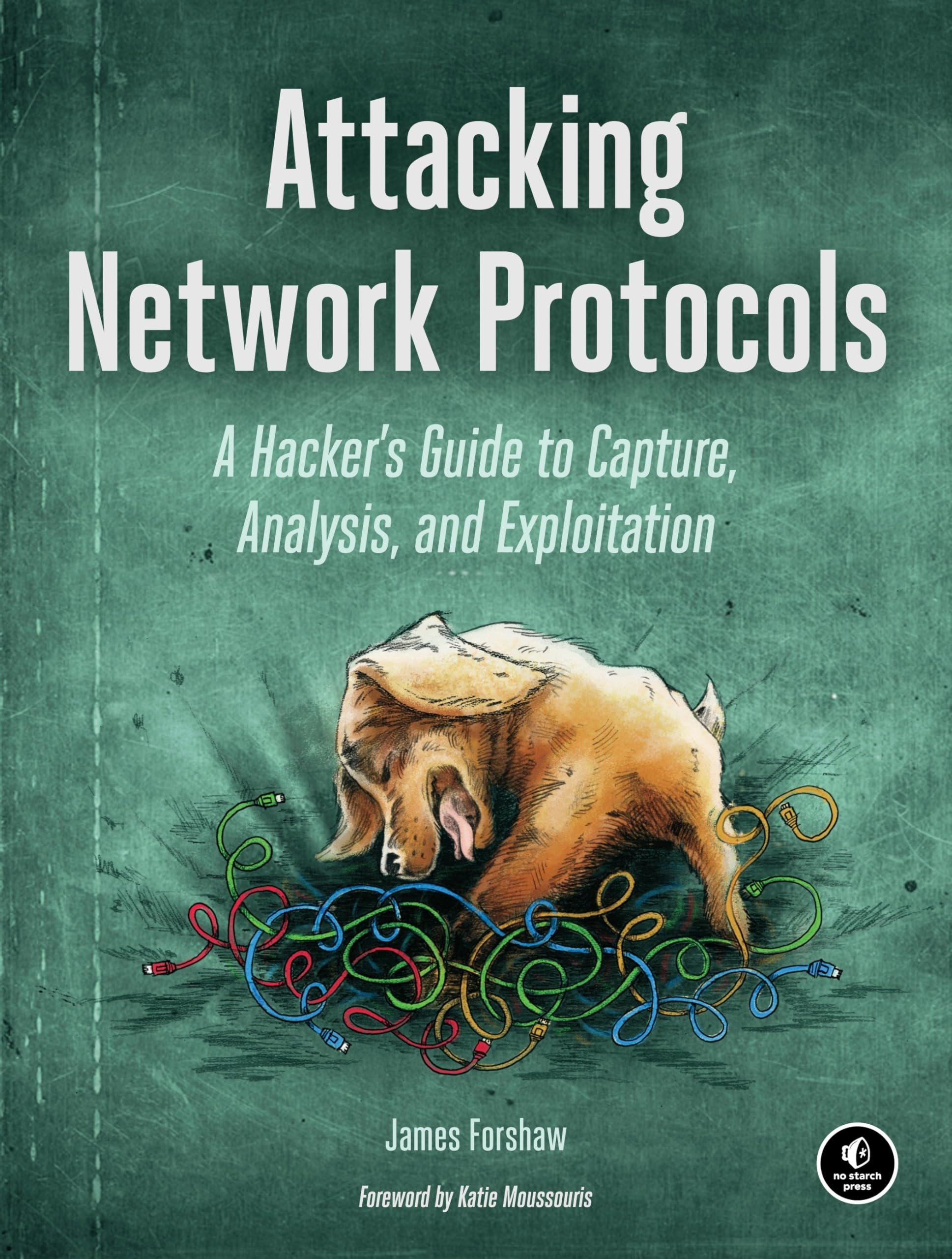 Attacking Network Protocols Computer Science