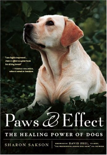 Paws & Effect: The Healing Power of Dogs Pets