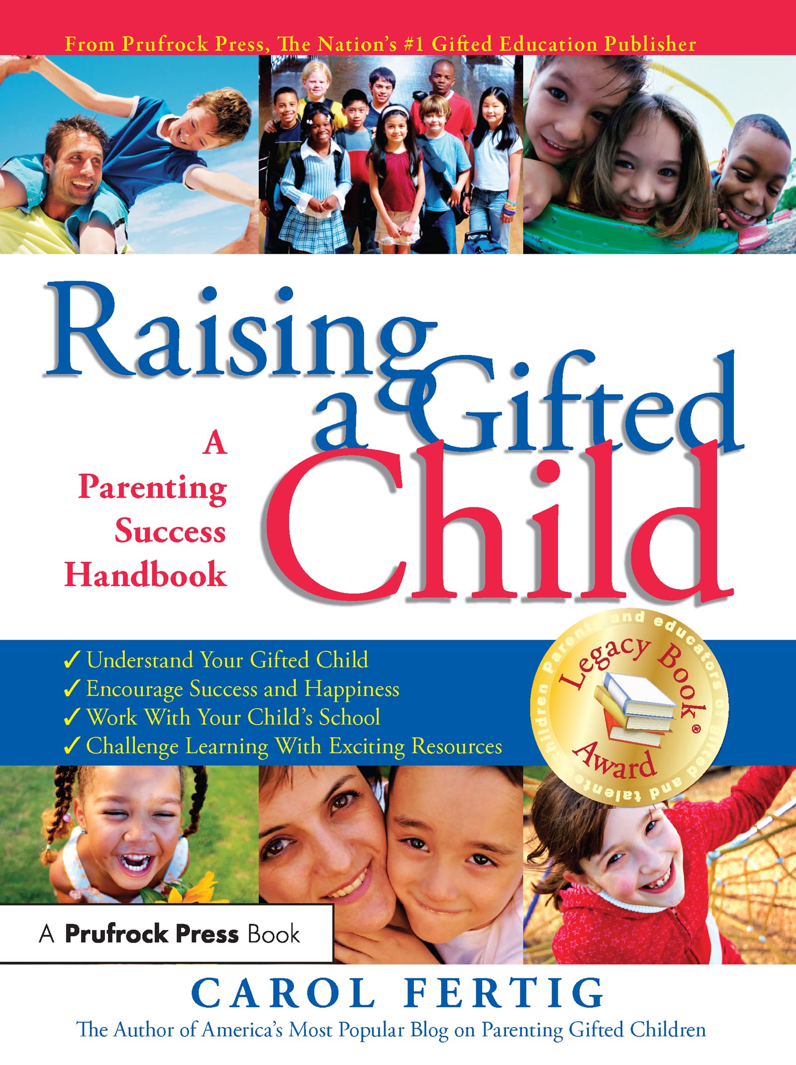 Raising a Gifted Child book