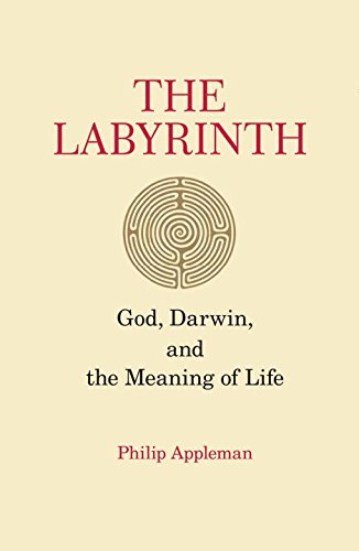Labyrinth: God, Darwin, and the Meaning of Life Philosophy