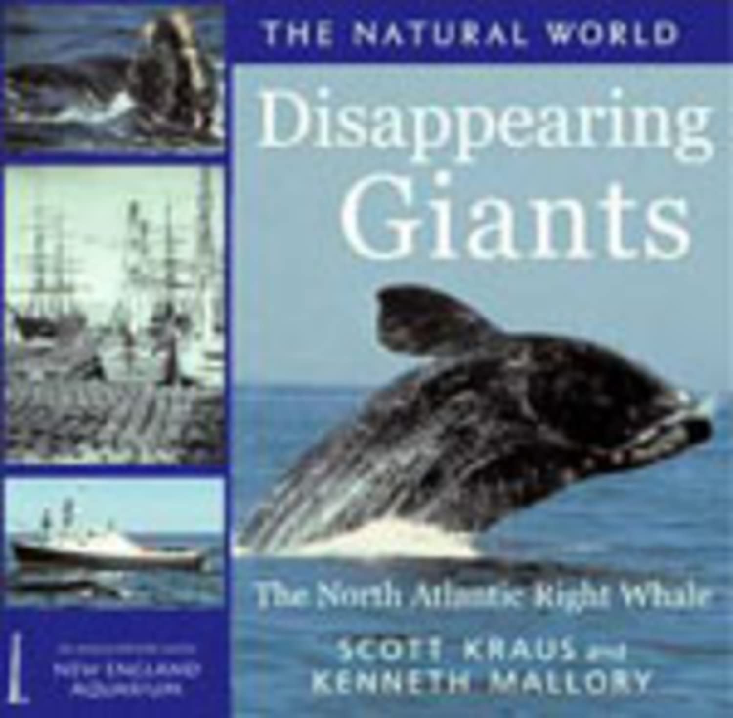 Diappearing Giants: The North Atlantic Right Whale (Natural World) Geology & Geography