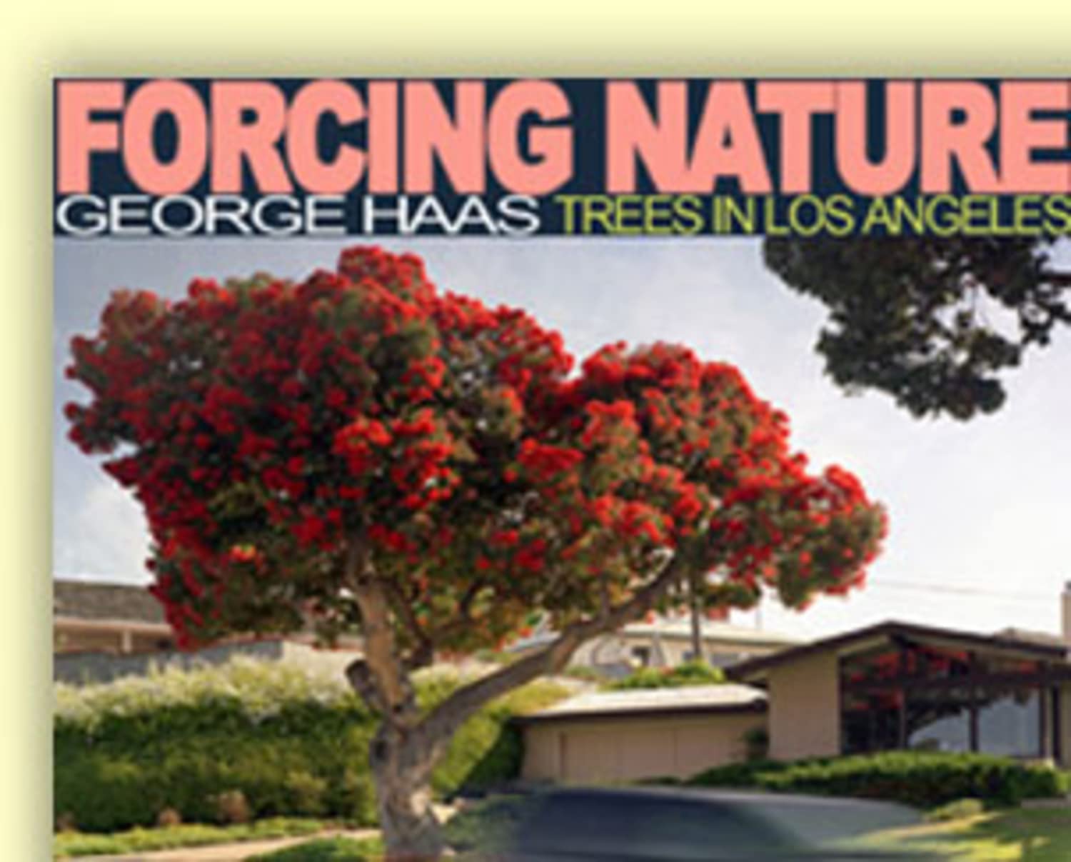 Forcing Nature: Trees in Los Angeles: Tree in Los Angeles Mathematics