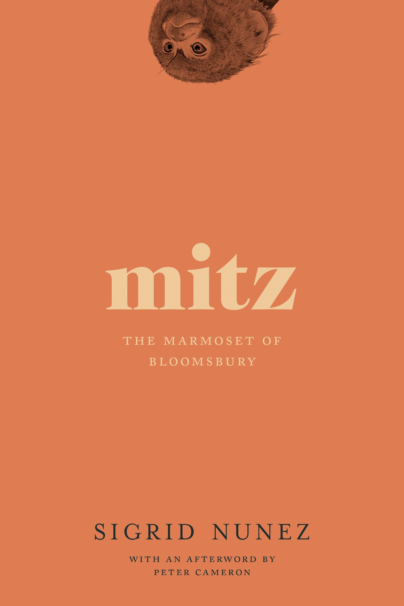 Mitz: The Marmoset of Bloomsbury Action & Adventure