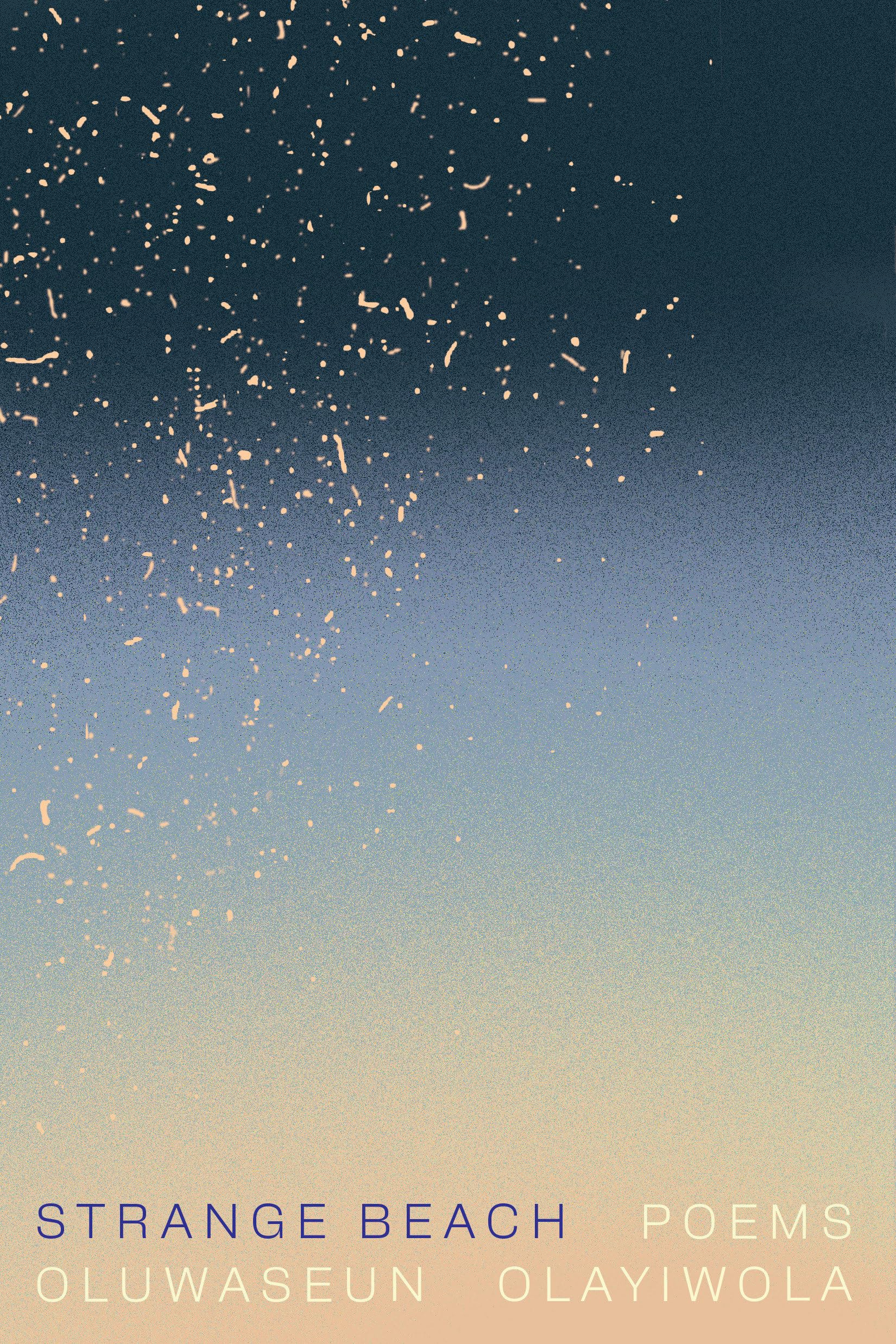 Strange Beach: Poems book
