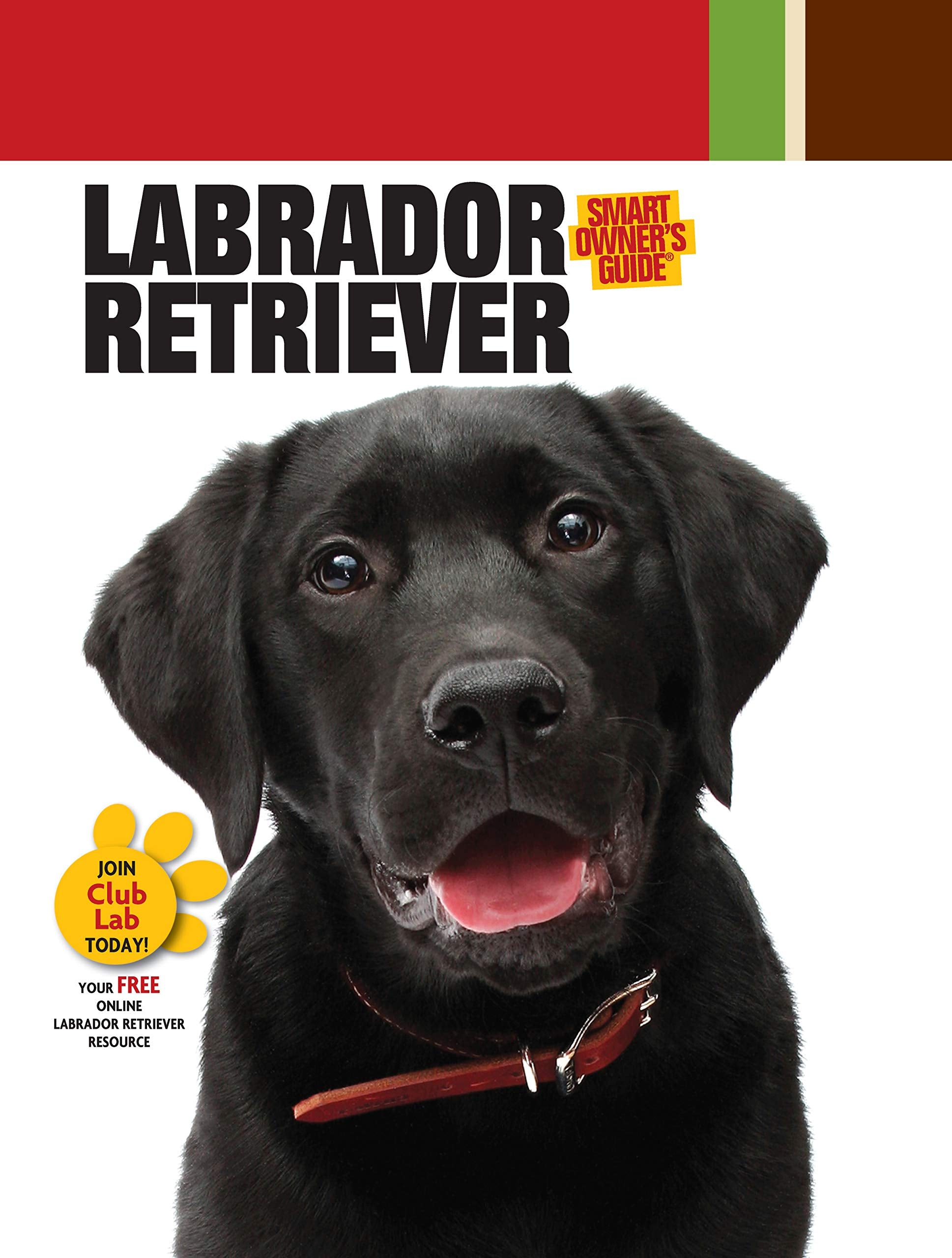 Gilbert, M: LABRADOR RETRIEVER Pets