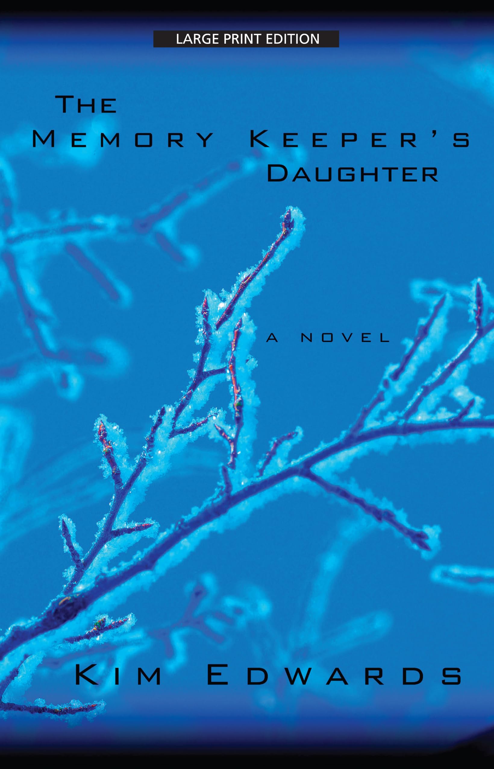The Memory Keeper's Daughter (Thorndike Paperback Bestsellers) Contemporary literature