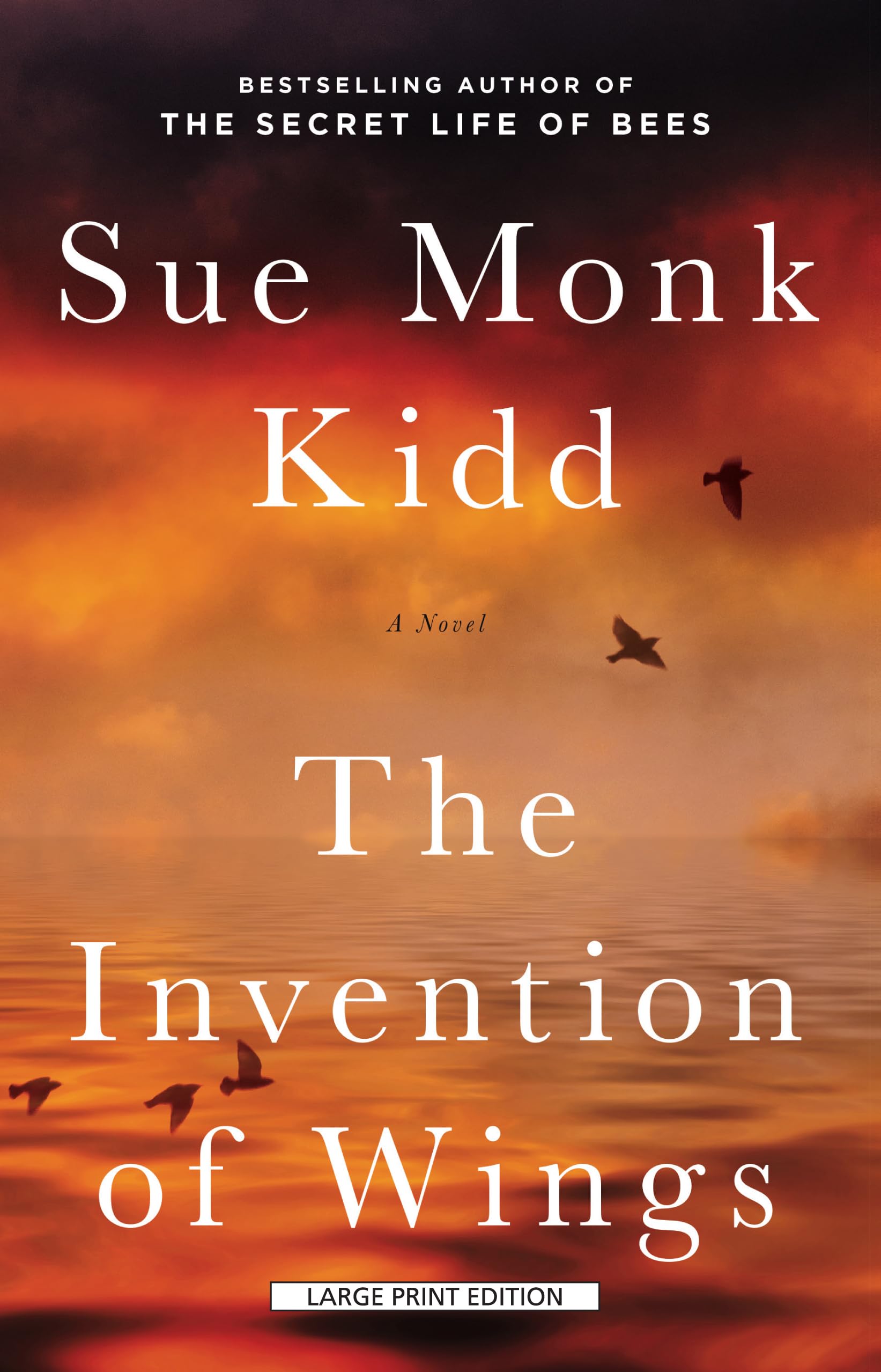 The Invention of Wings book