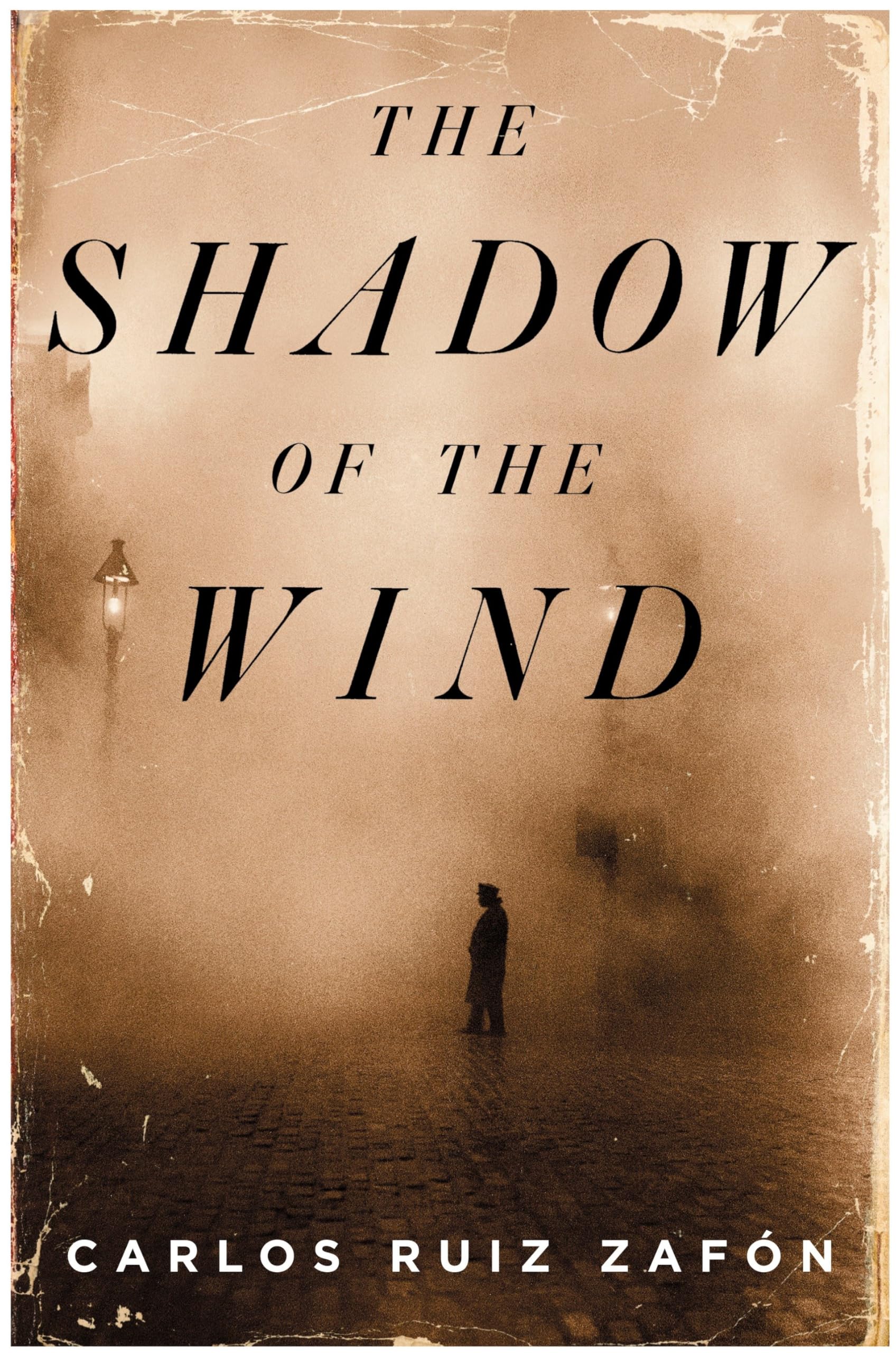 The Shadow of the Wind Contemporary literature
