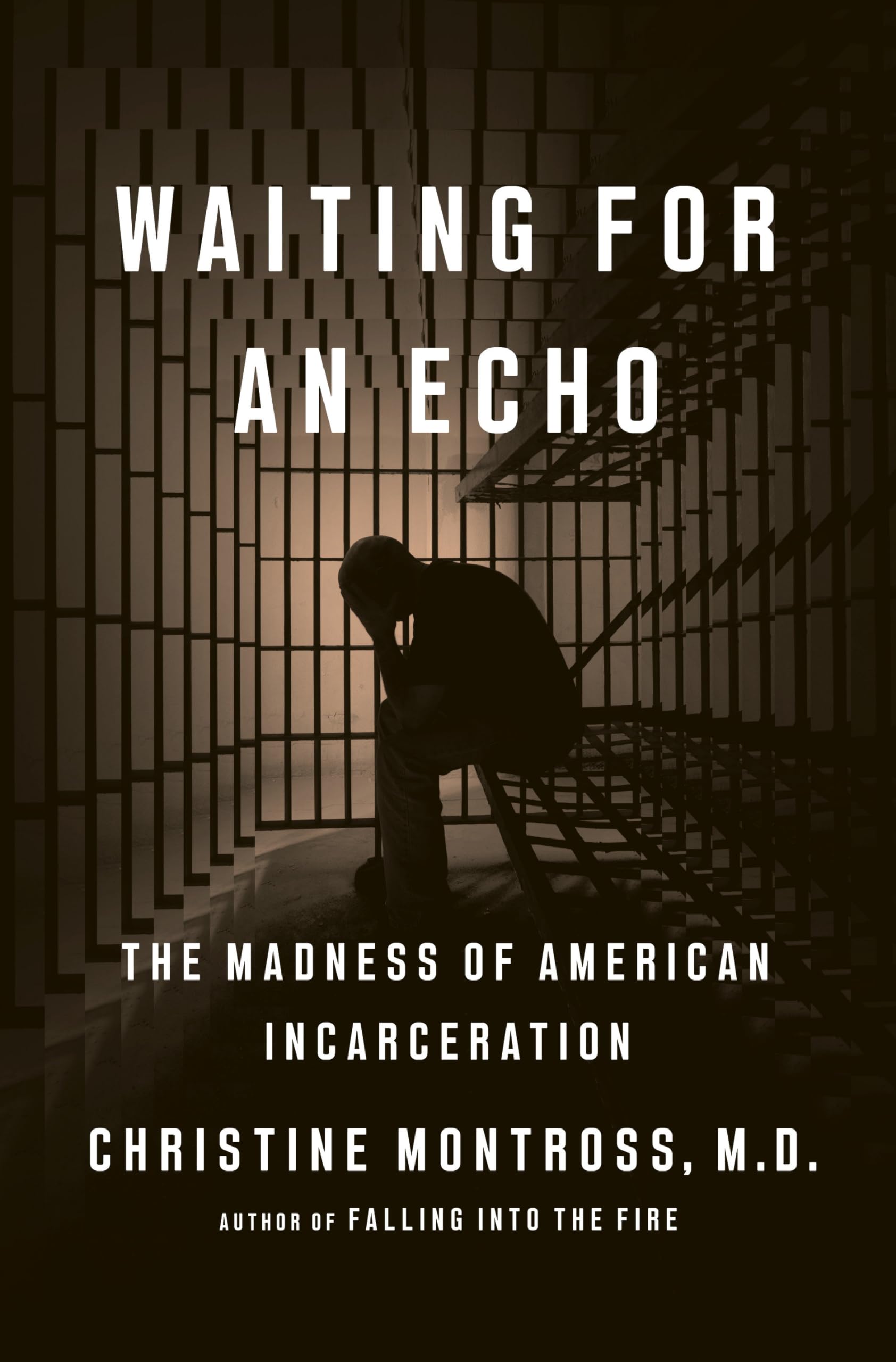 Waiting for an Echo: The Madness of American Incarceration Medicine