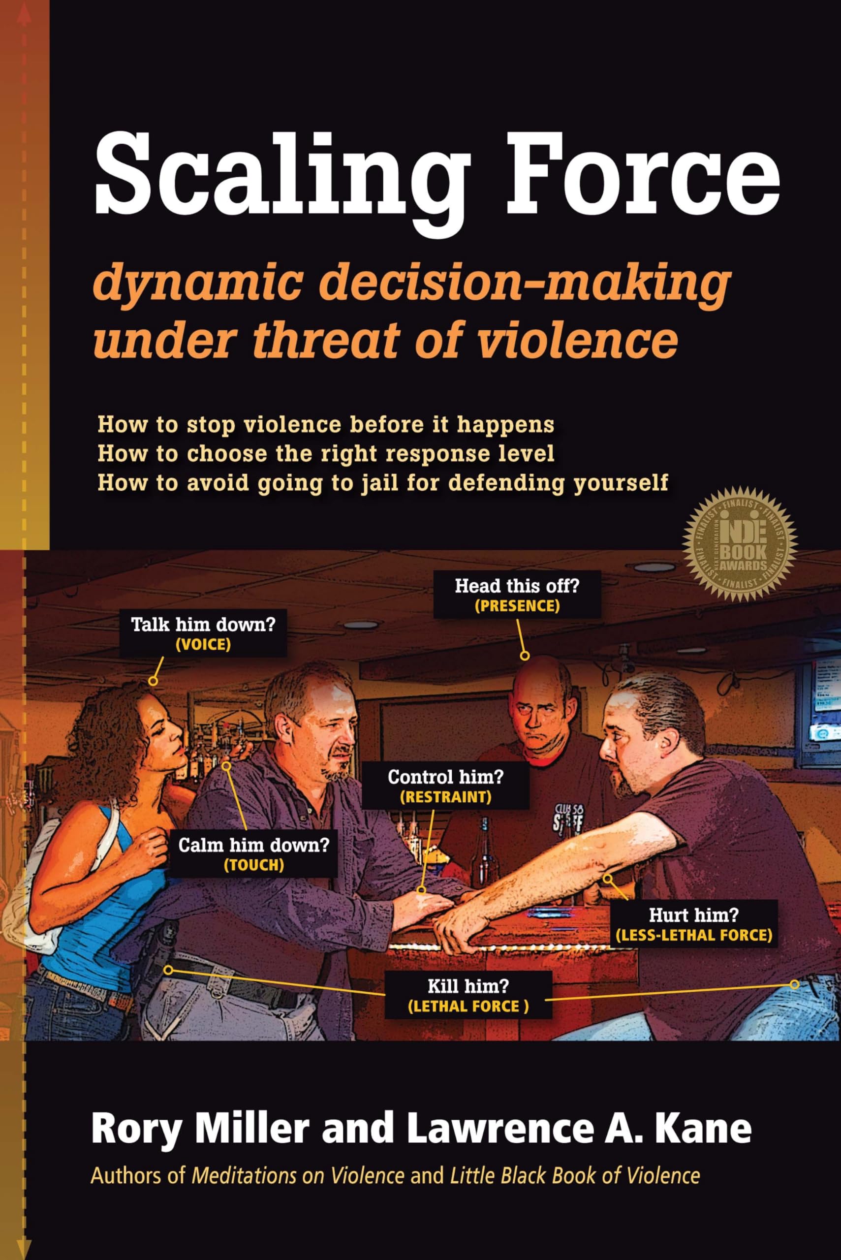 Scaling Force: Dynamic Decision Making Under Threat of Violence Law
