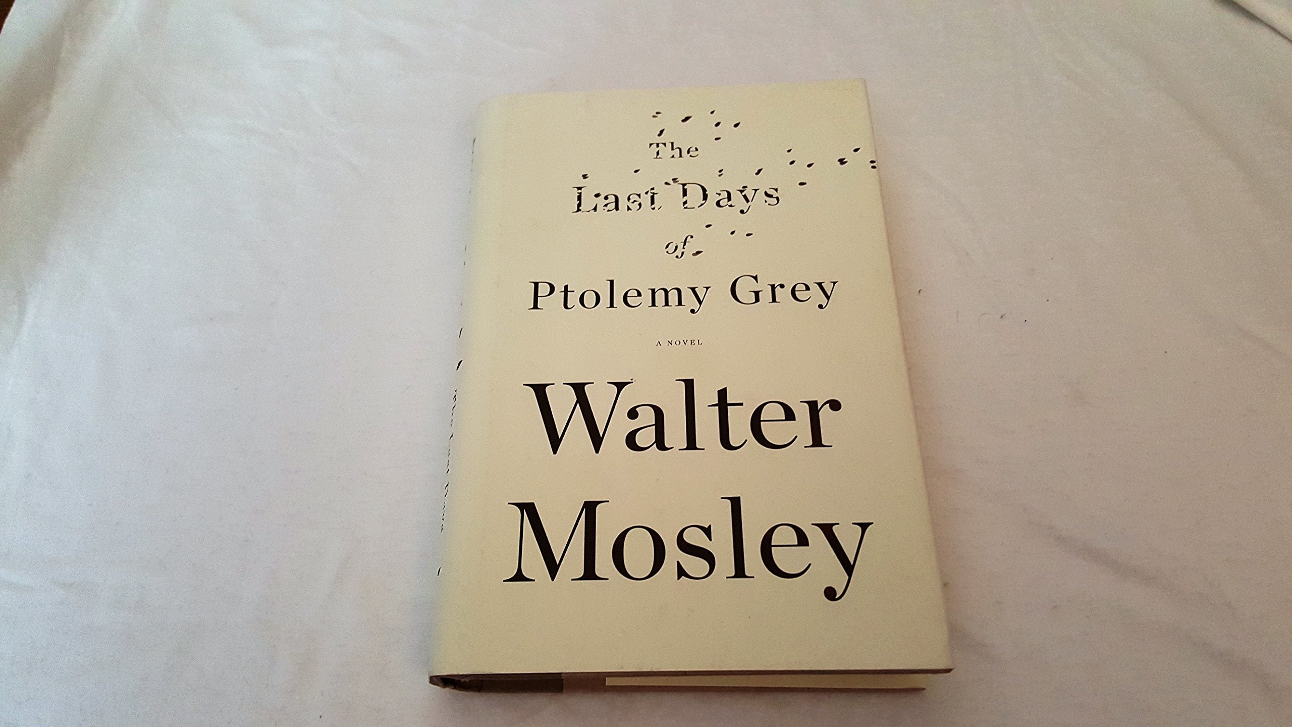 The Last Days of Ptolemy Grey Contemporary literature
