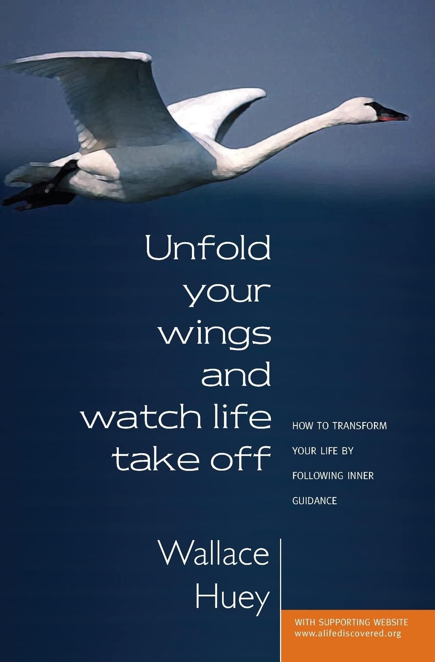 Unfold Your Wings and Watch Life Take Off book