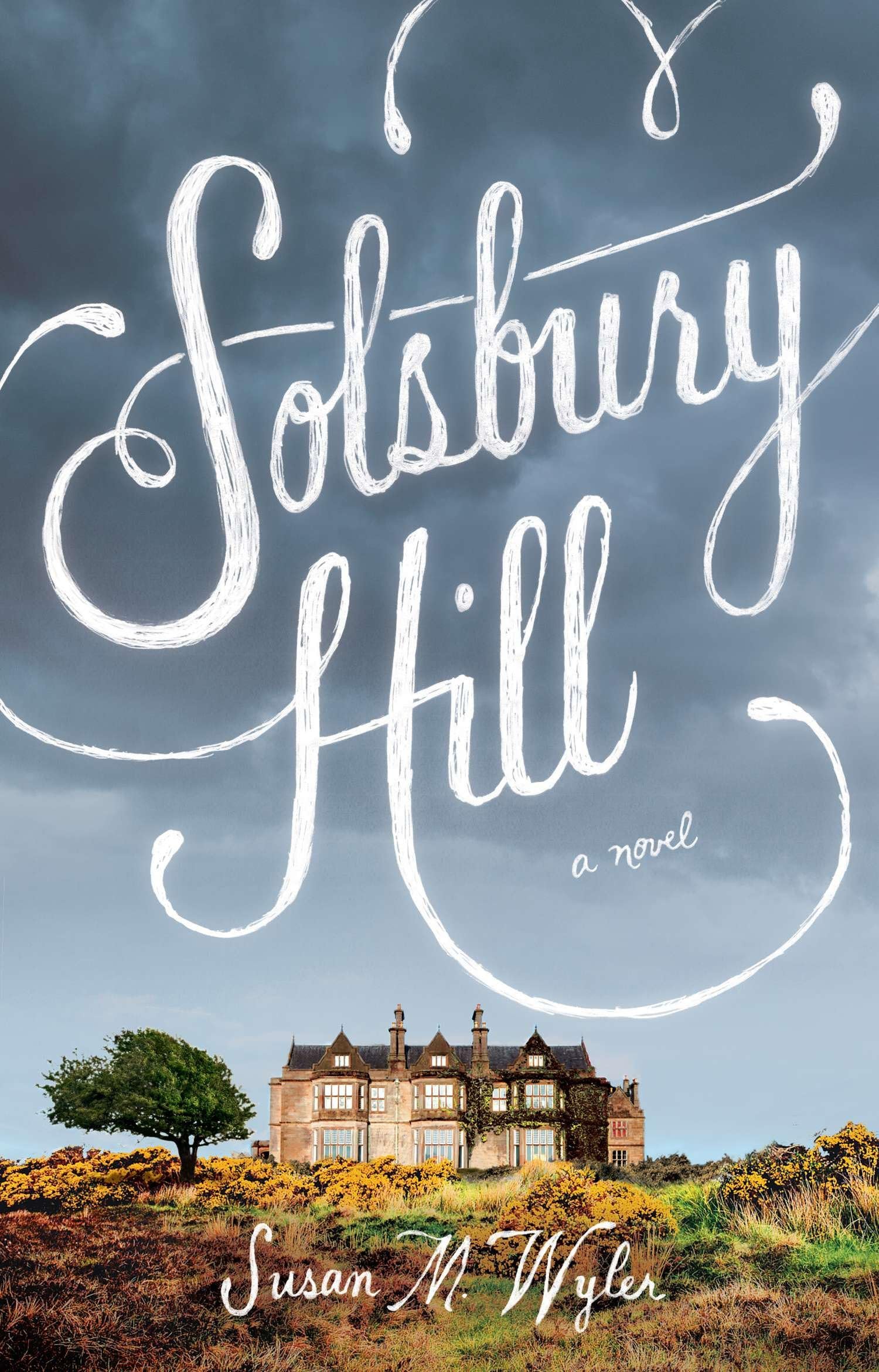 Solsbury Hill: A Novel Contemporary literature