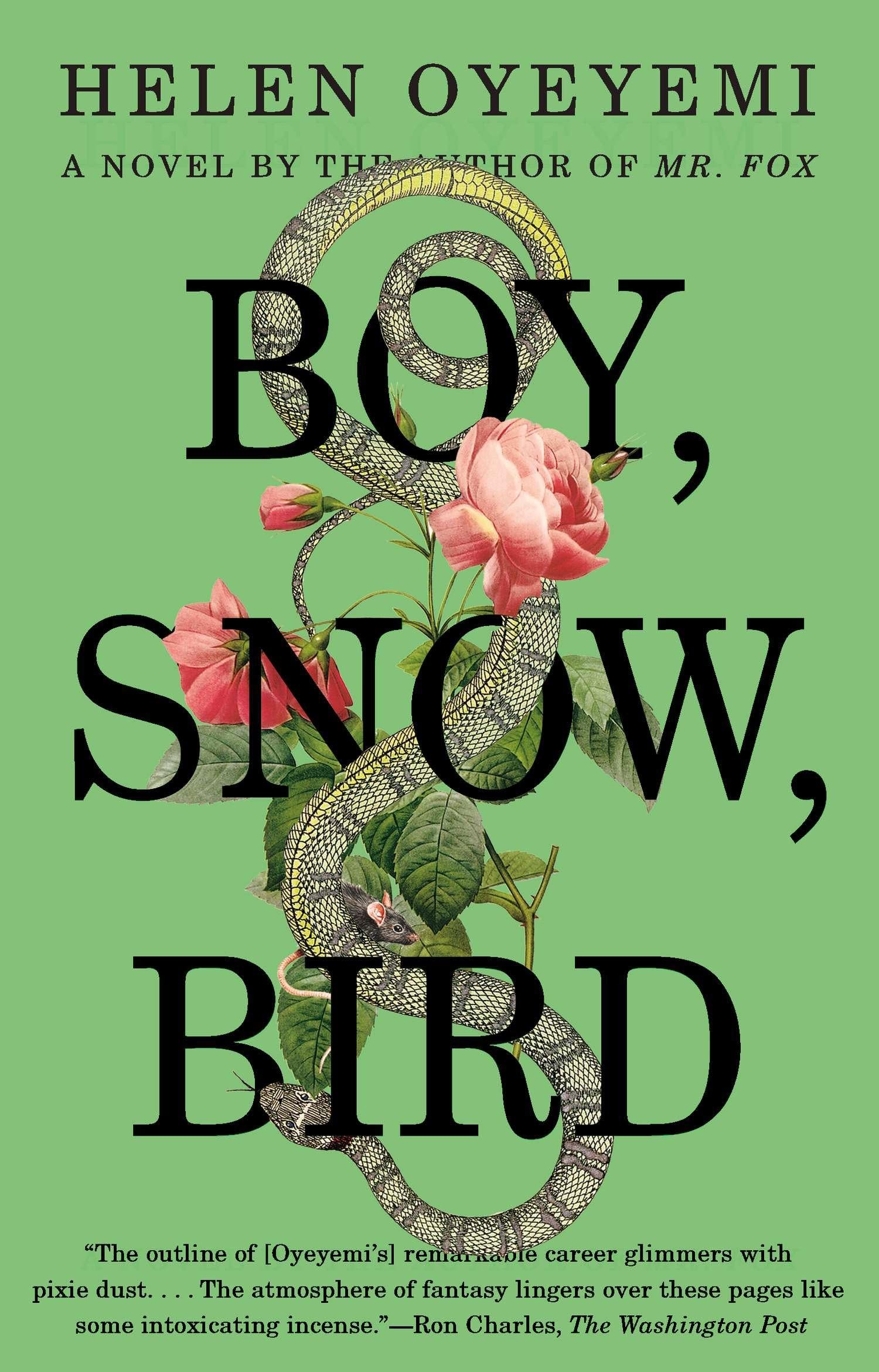 Product Image: Boy, Snow, Bird
