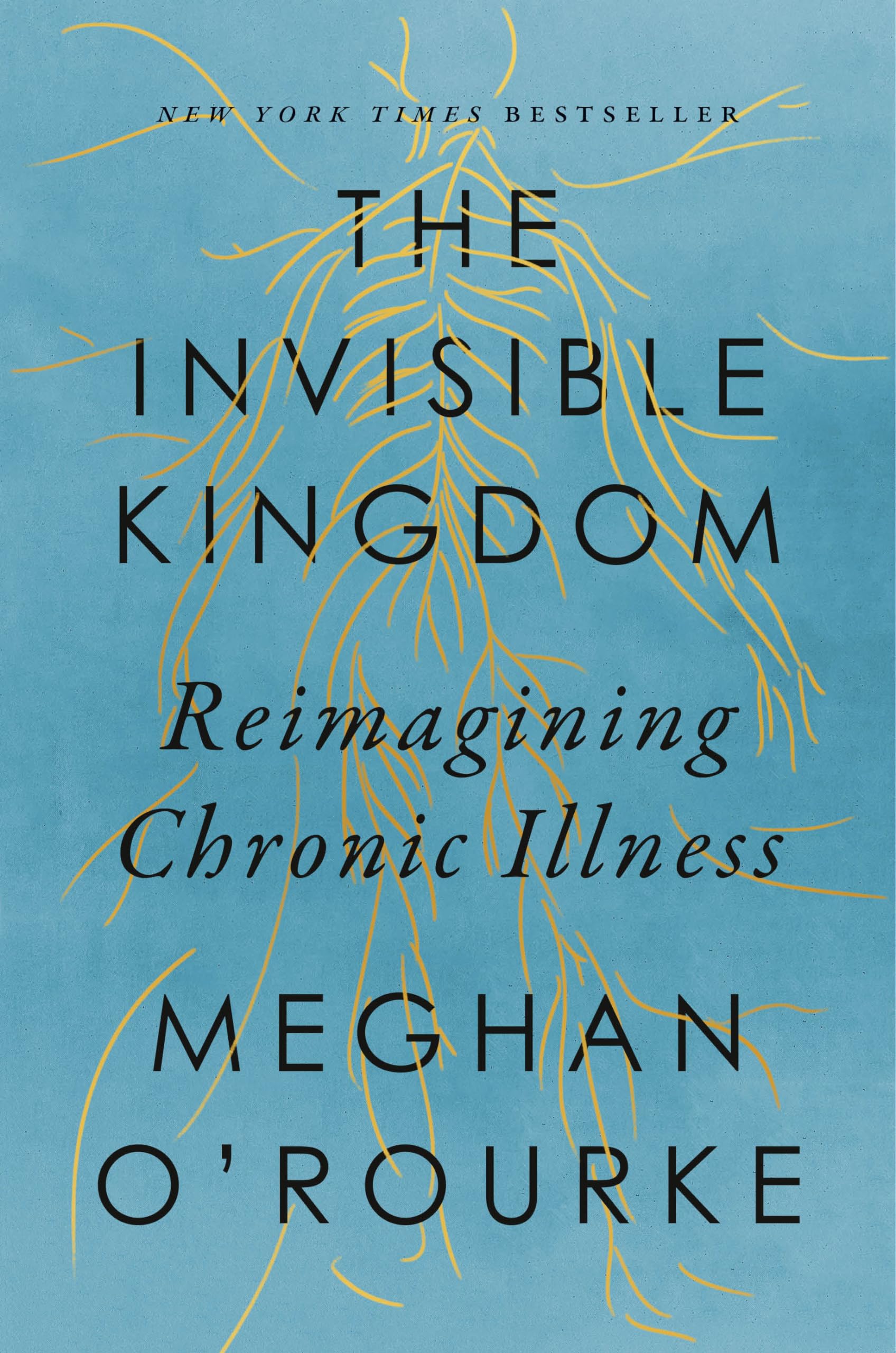Product Image: The Invisible Kingdom