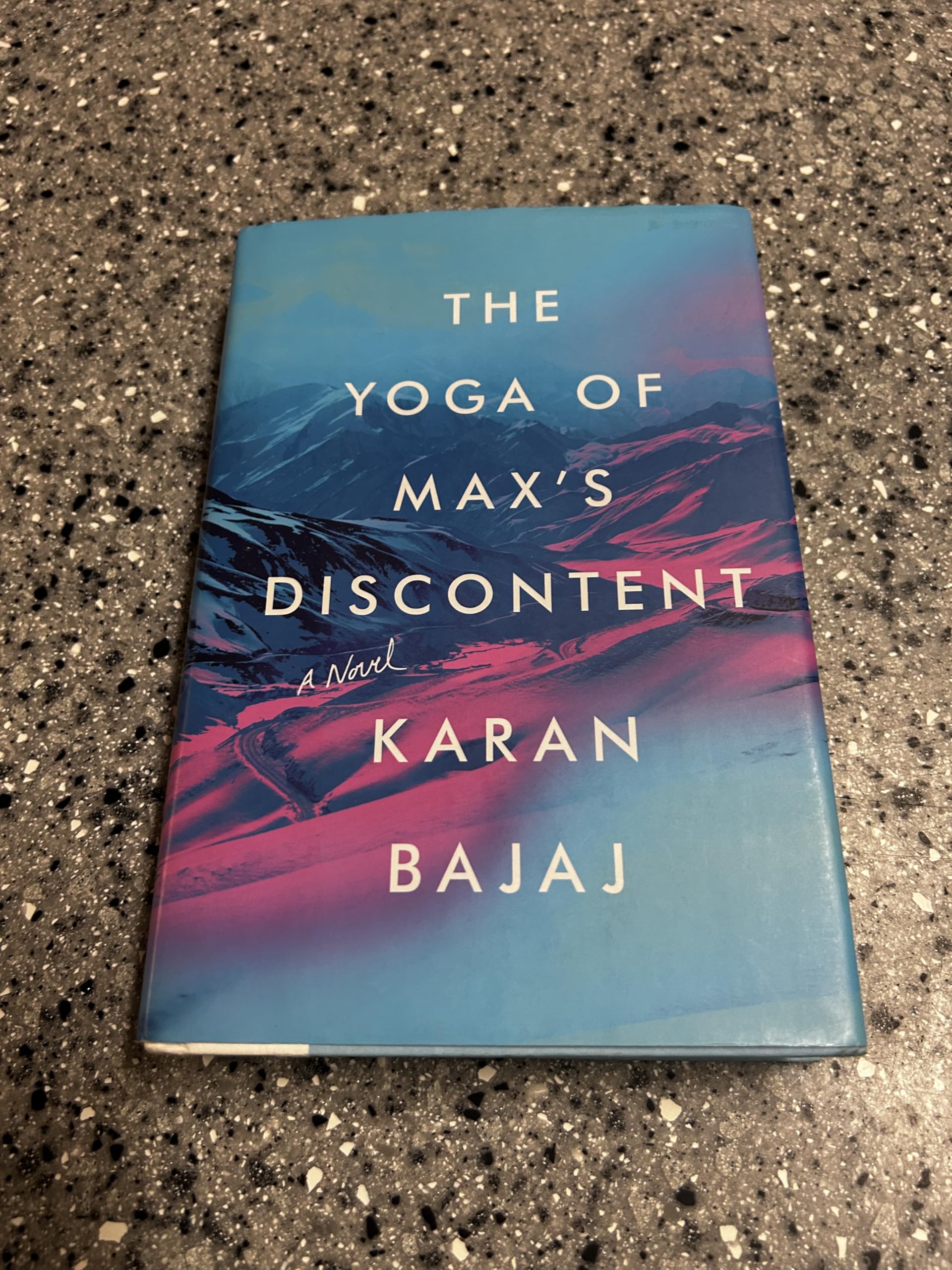 The Yoga of Max's Discontent Historical Fiction