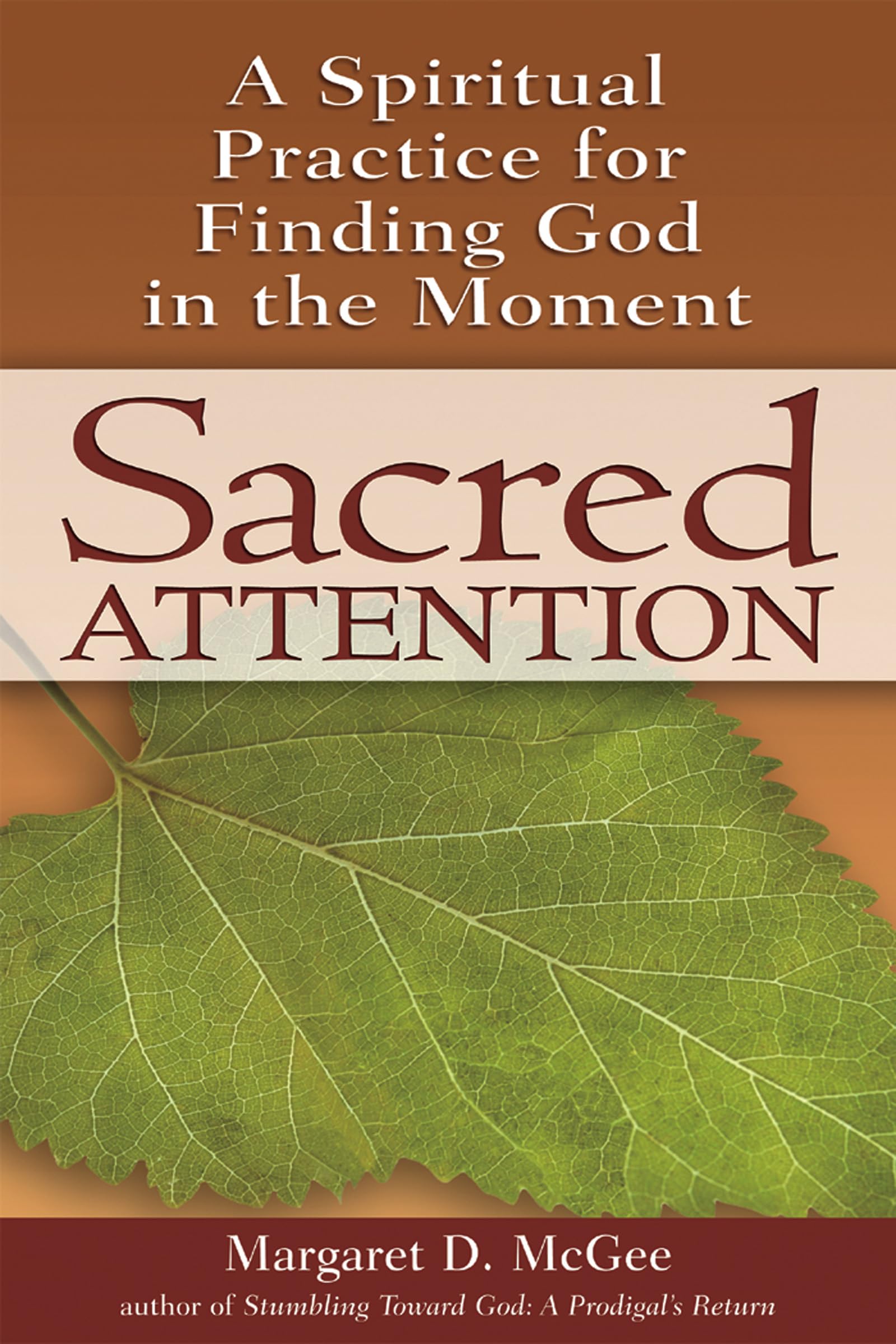 Sacred Attention: A Spiritual Practice for Finding God in the Moment Religion & Esotericism