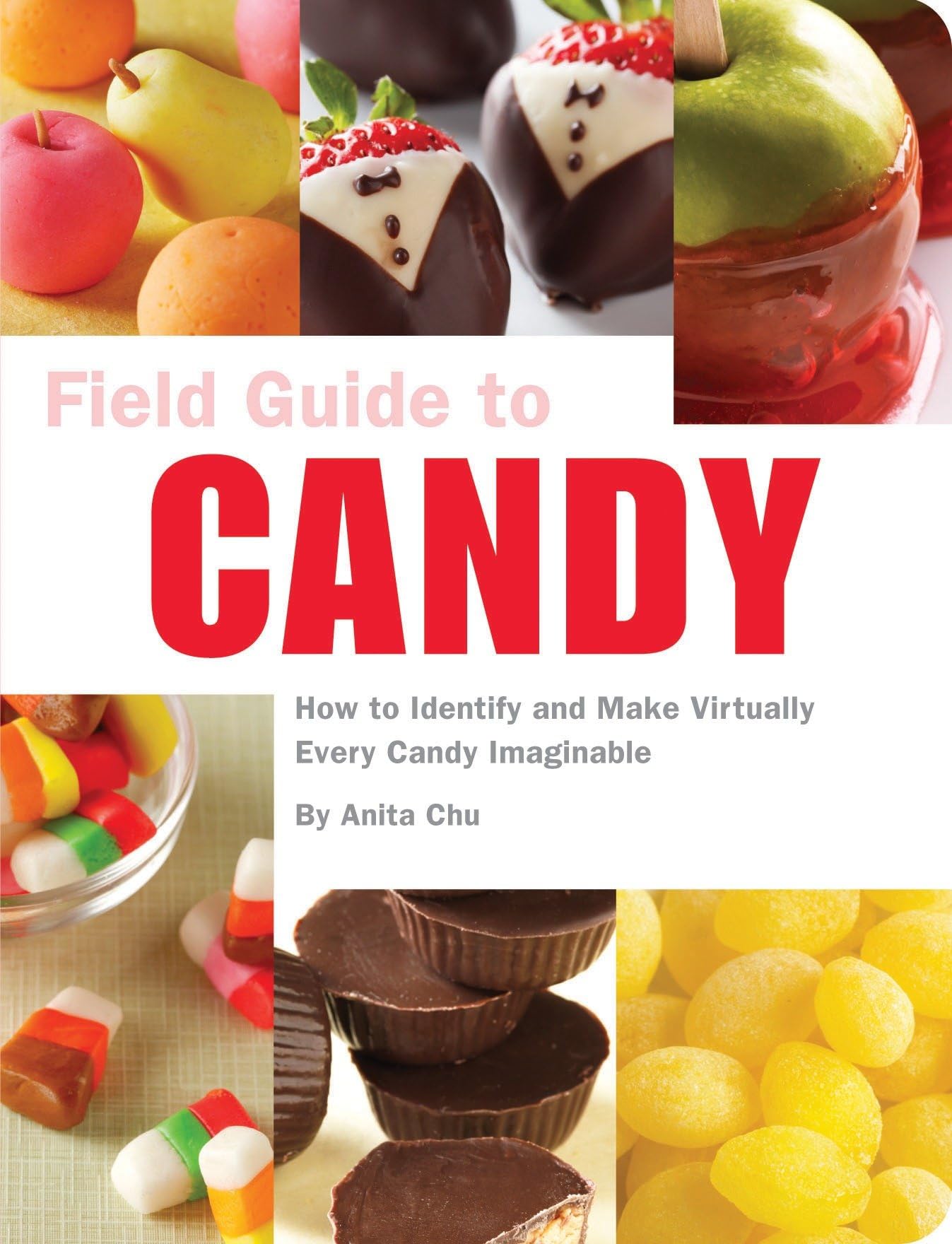 Field Guide to Candy: How to Identify and Make Virtually Every Candy Imaginable Leisure, Home & Garden