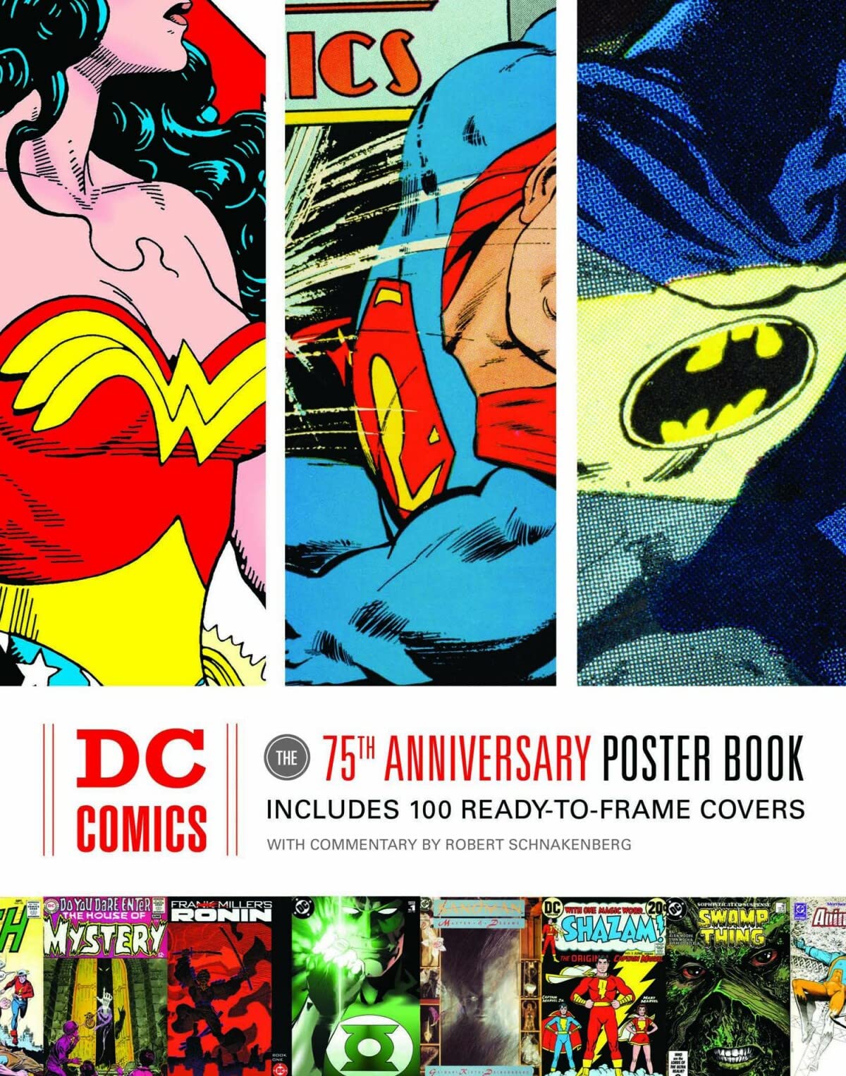 DC Comics Social Sciences