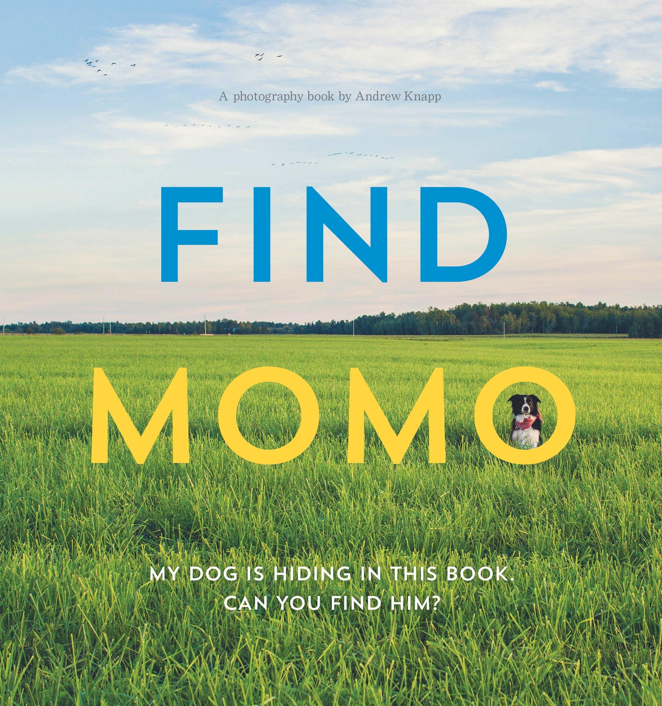Find Momo Photography