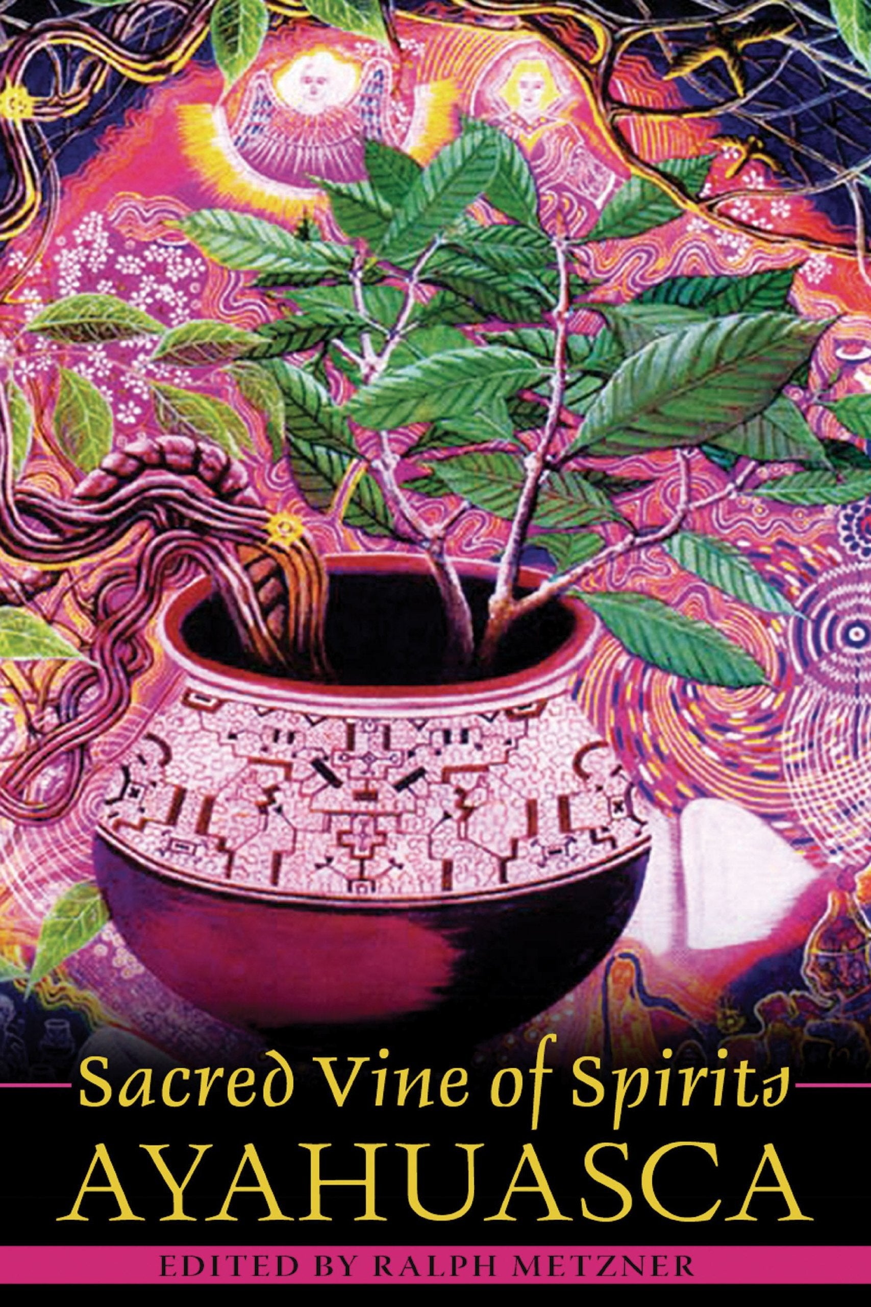 Sacred Vine of Spirits: Ayahuasca Medicine
