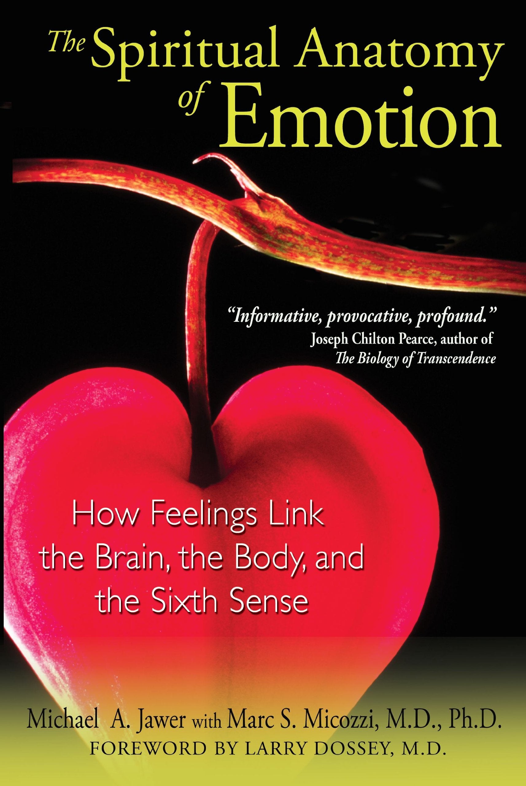 The Spiritual Anatomy of Emotion: How Feelings Link the Brain, the Body, and the Sixth Sense Religion & Esotericism