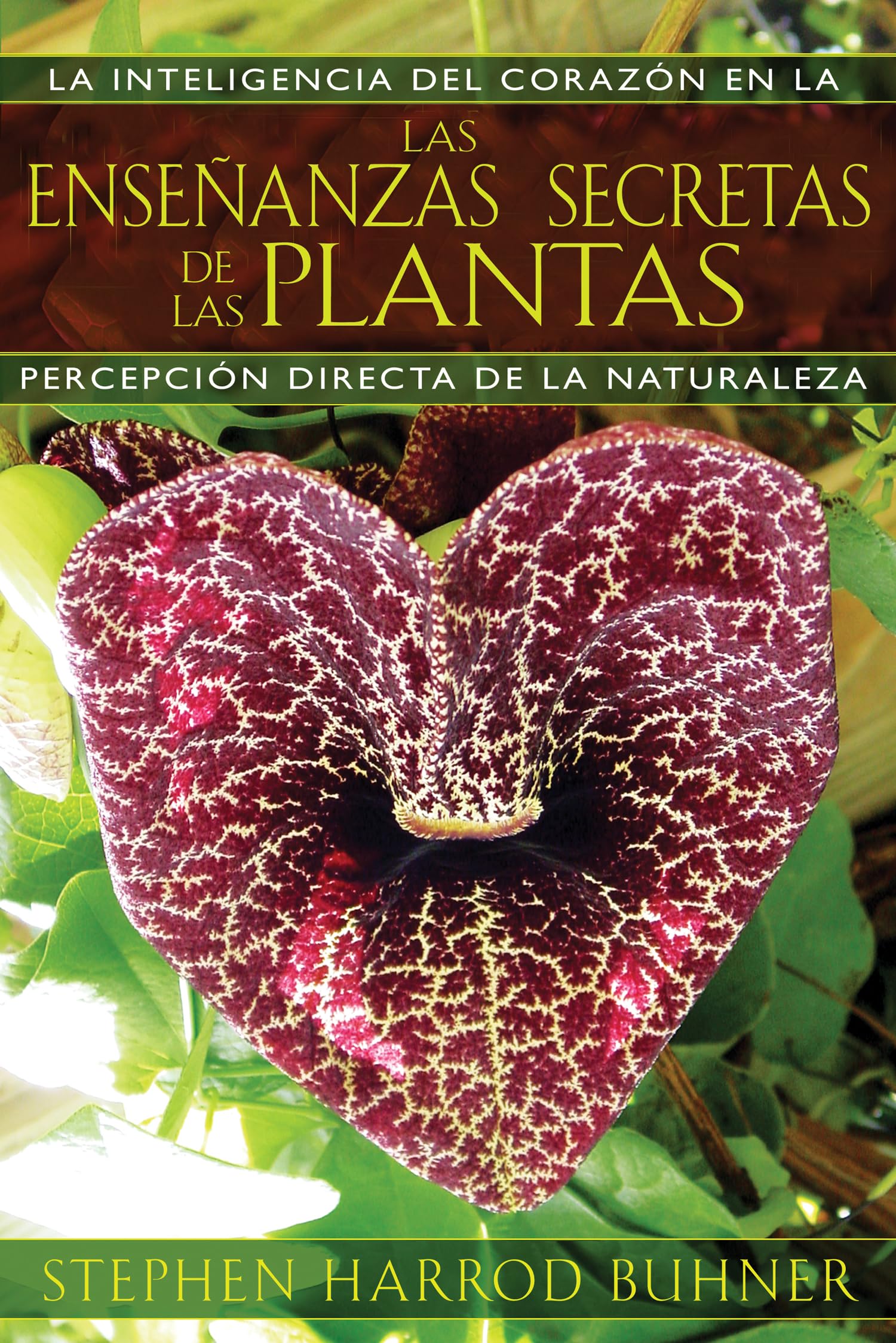 Las enseñanzas secretas de las plantas: La inteligencia del corazón en la percepción directa de la naturaleza book