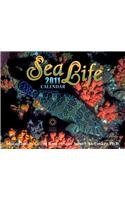 Sea Life 2011 Calendar Mathematics