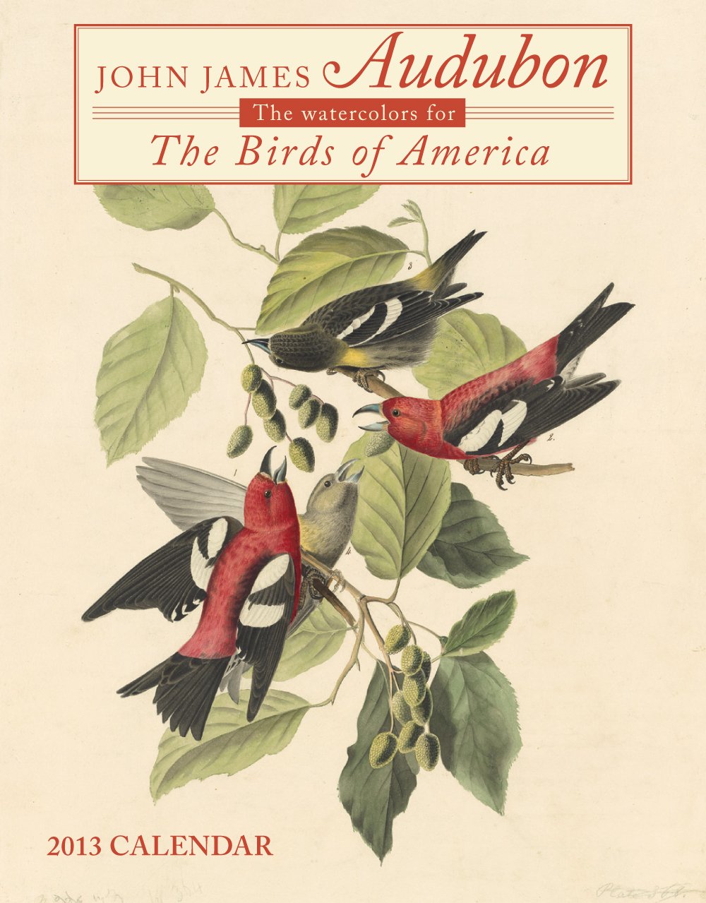 The Watercolors for the Birds of America 2013 Calendar Books