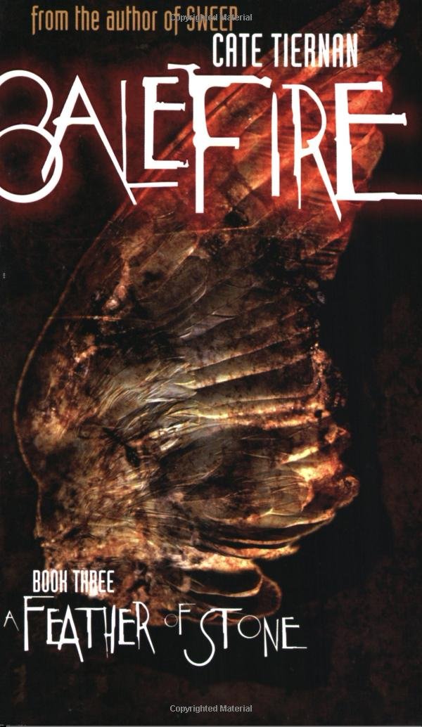 A Feather of Stone (Balefire, Band 3) Fantasy & Sci-Fi