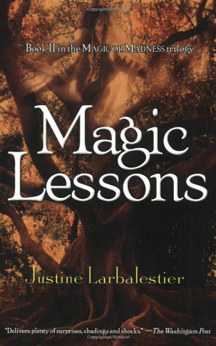 Magic Lessons (Magic or Madness) Fiction books for children