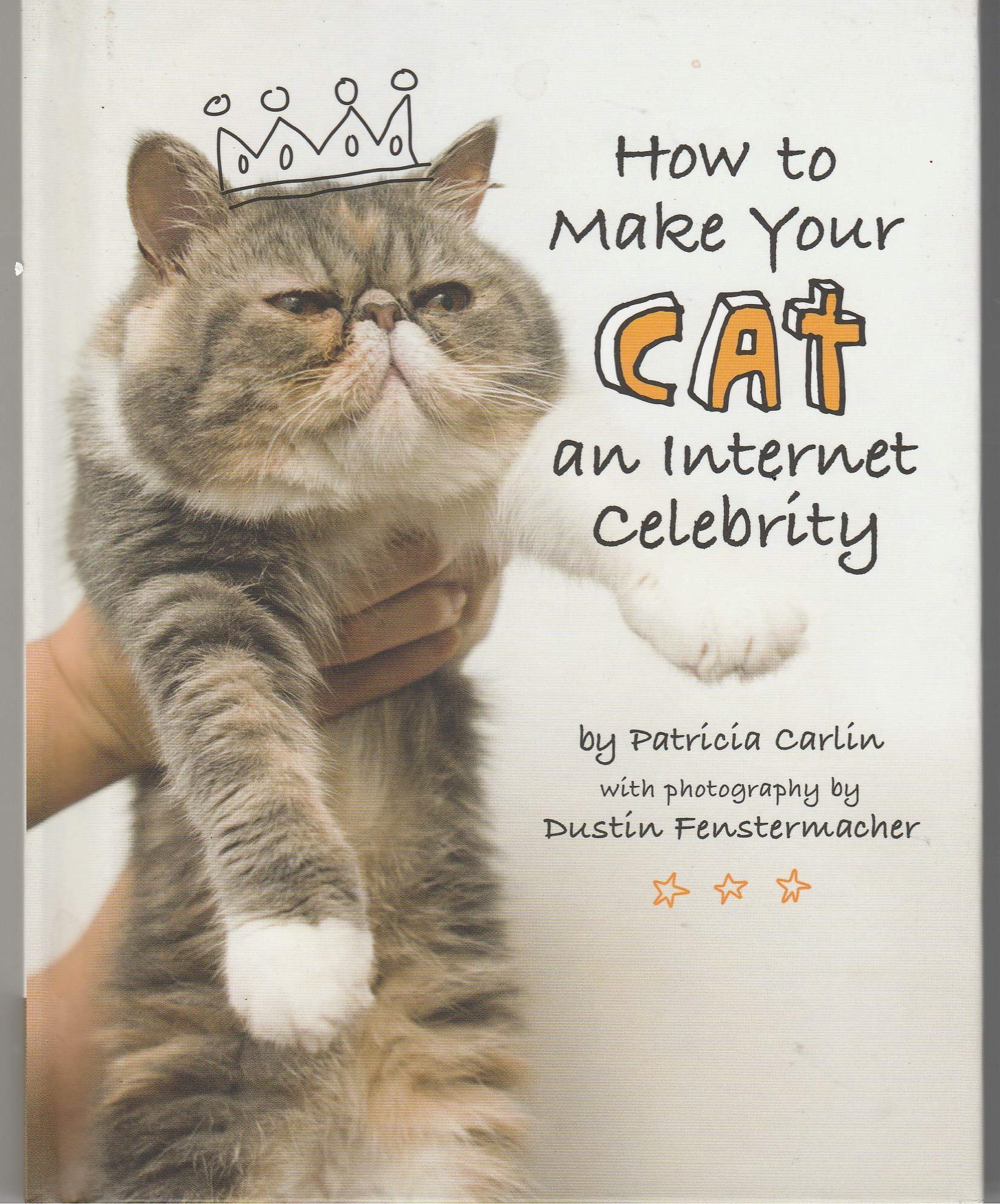 How to Make Your Cat an Internet Celebrity Books