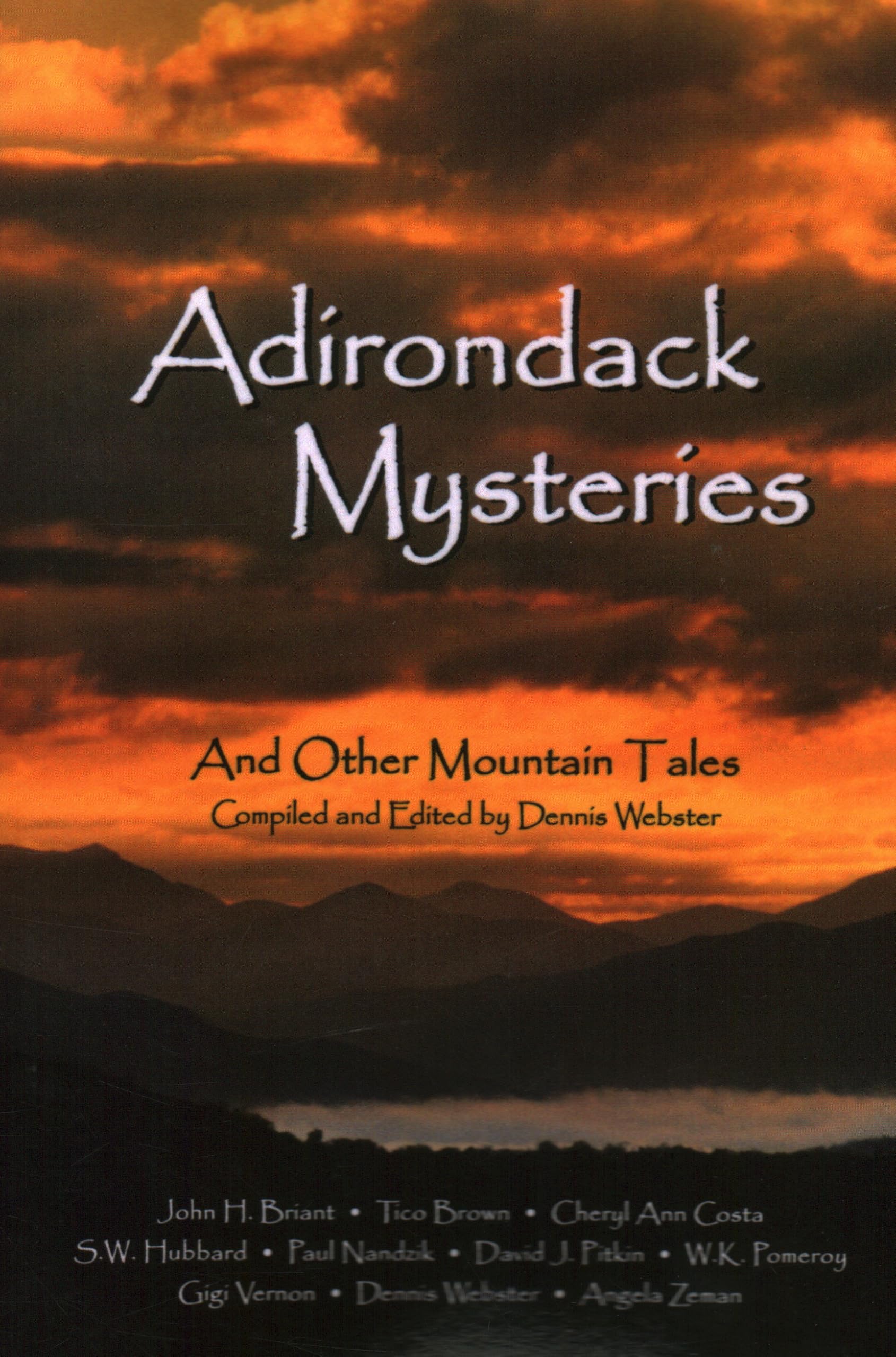Adirondack Mysteries Contemporary literature Books