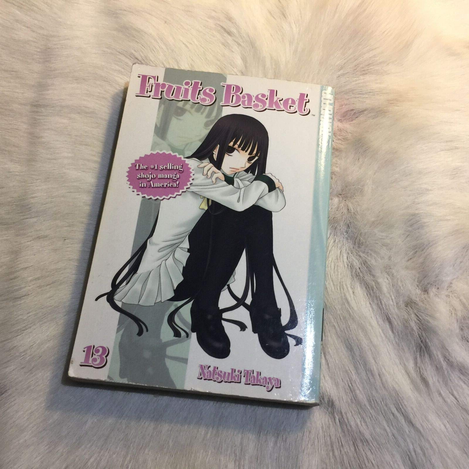 Fruits Basket Volume 13 (Fruit Basket, Band 13) Manga